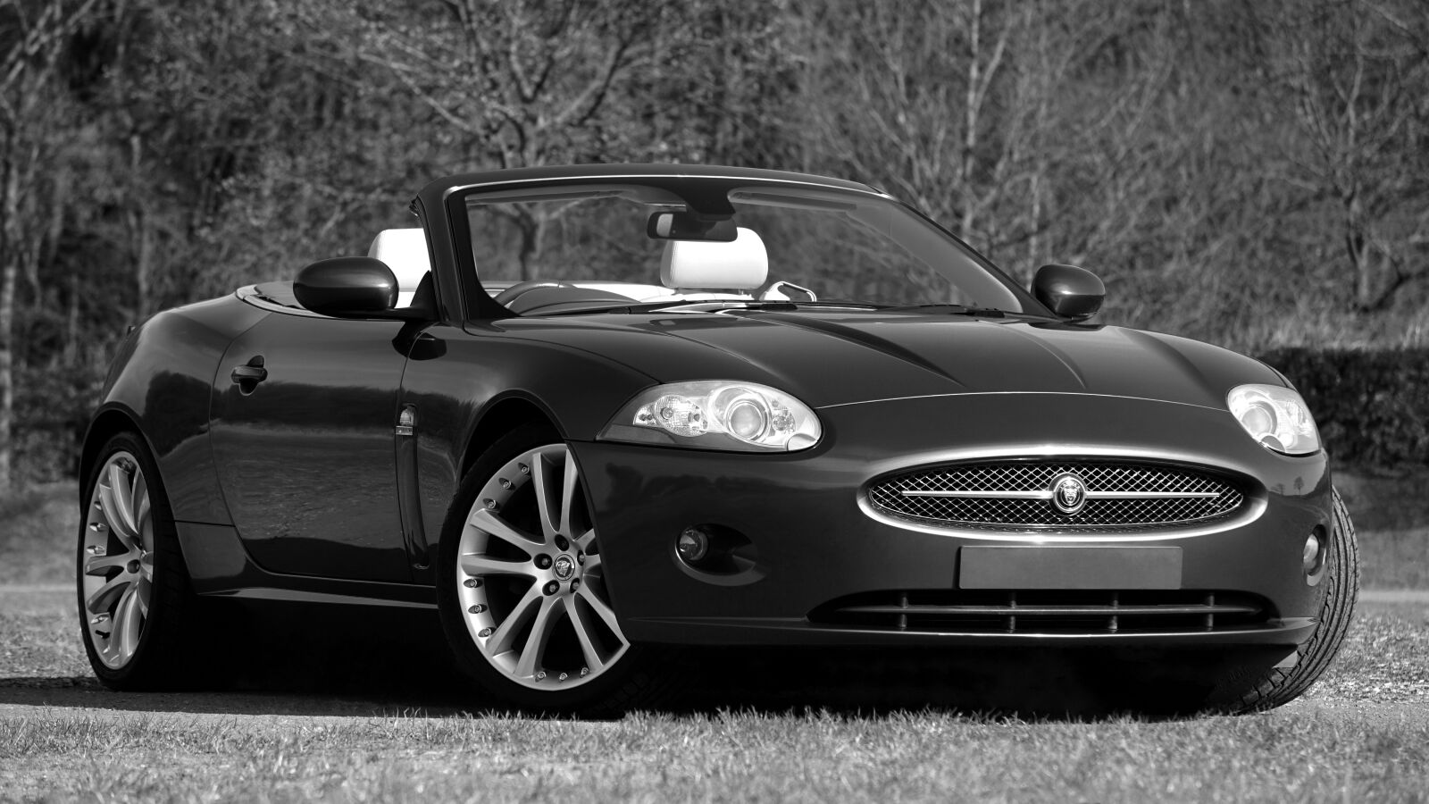 Sony E 55-210mm F4.5-6.3 OSS sample photo. Jaguar xk, car, speed photography