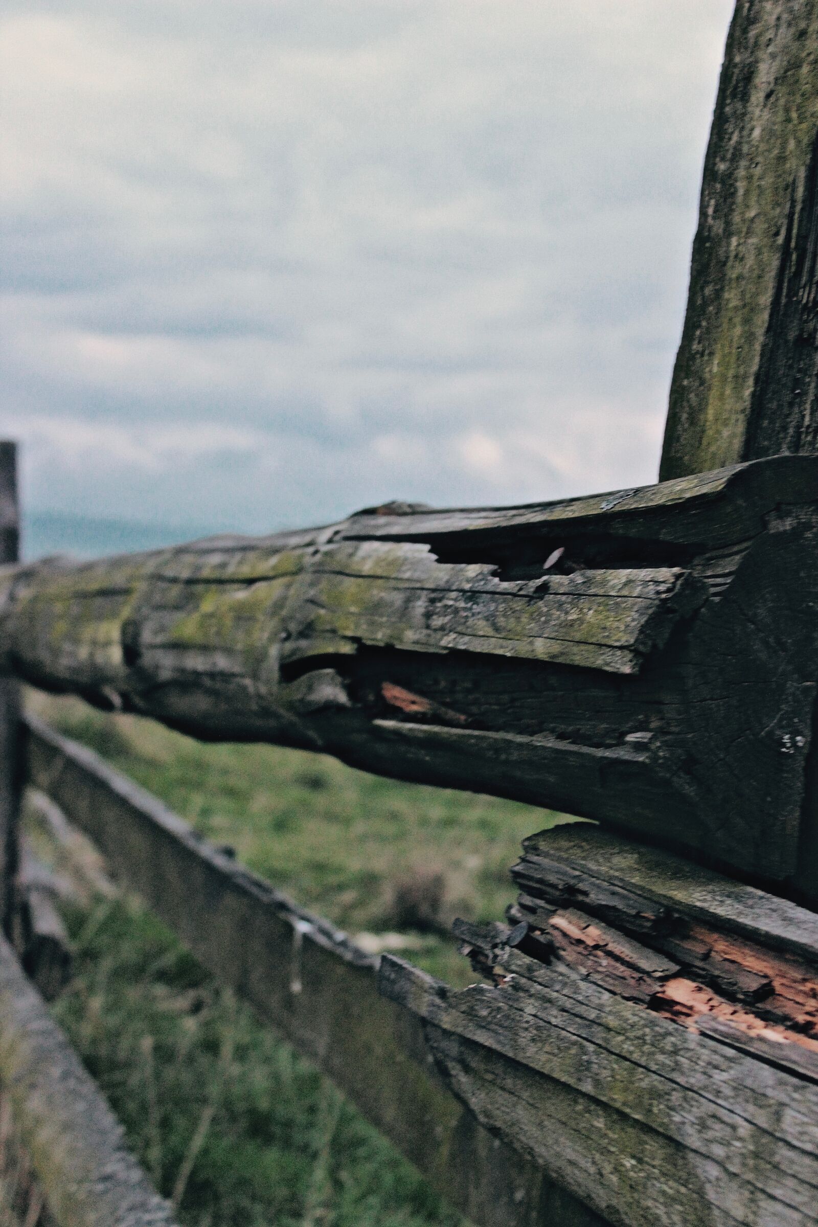 Canon EOS 600D (Rebel EOS T3i / EOS Kiss X5) sample photo. Fence, old, wood photography