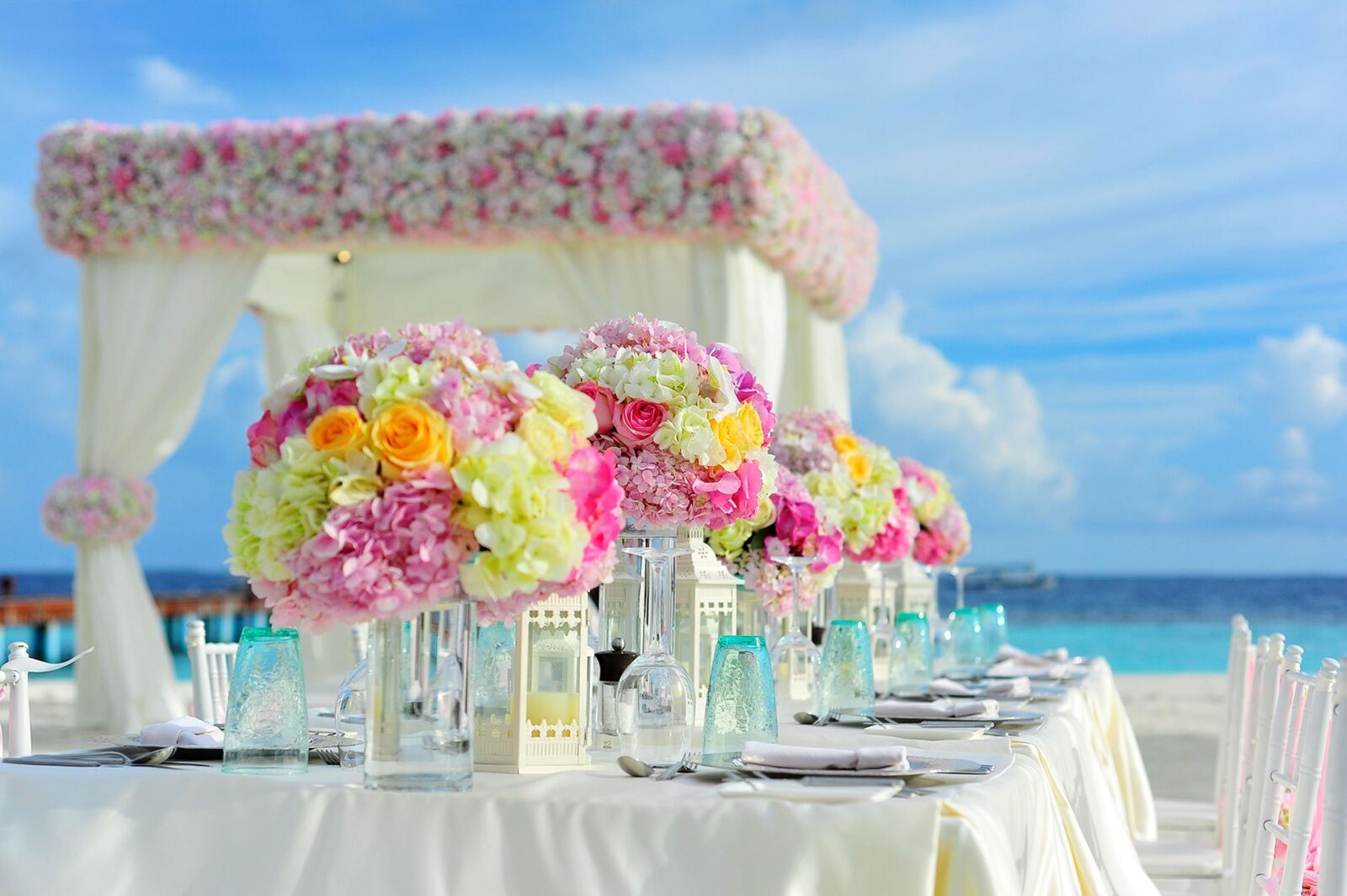 Nikon D700 sample photo. Beach, bunch of flowers photography