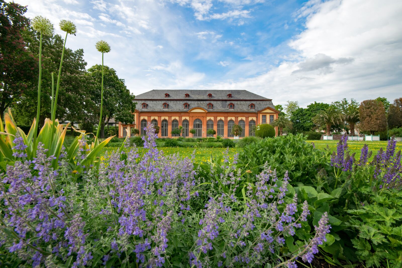 Nikon D5300 sample photo. Orangery, architecture, spring photography