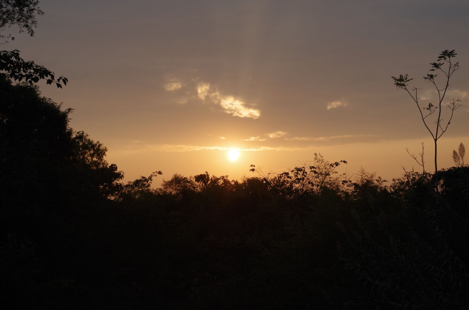 Pentax K-50 sample photo. Sunset, the west creek photography
