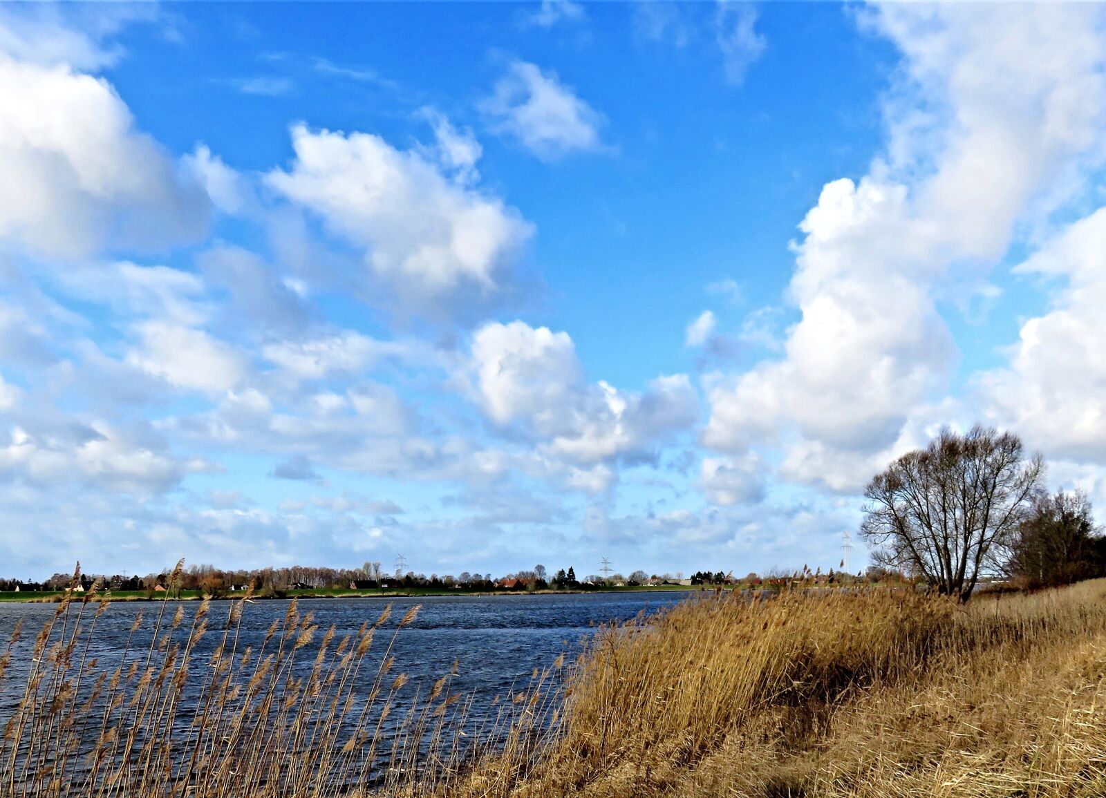 Canon PowerShot SX710 HS sample photo. Landscape, river, elbe photography