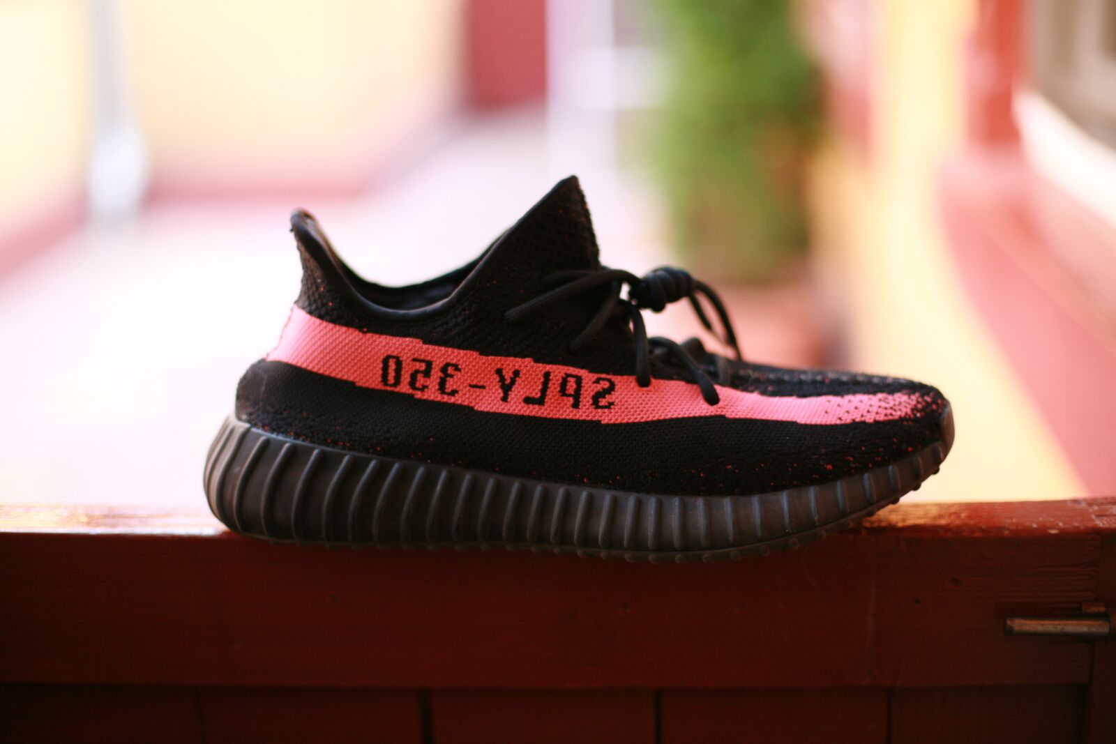 Canon EOS 5D sample photo. Yeezy, red, shoe photography
