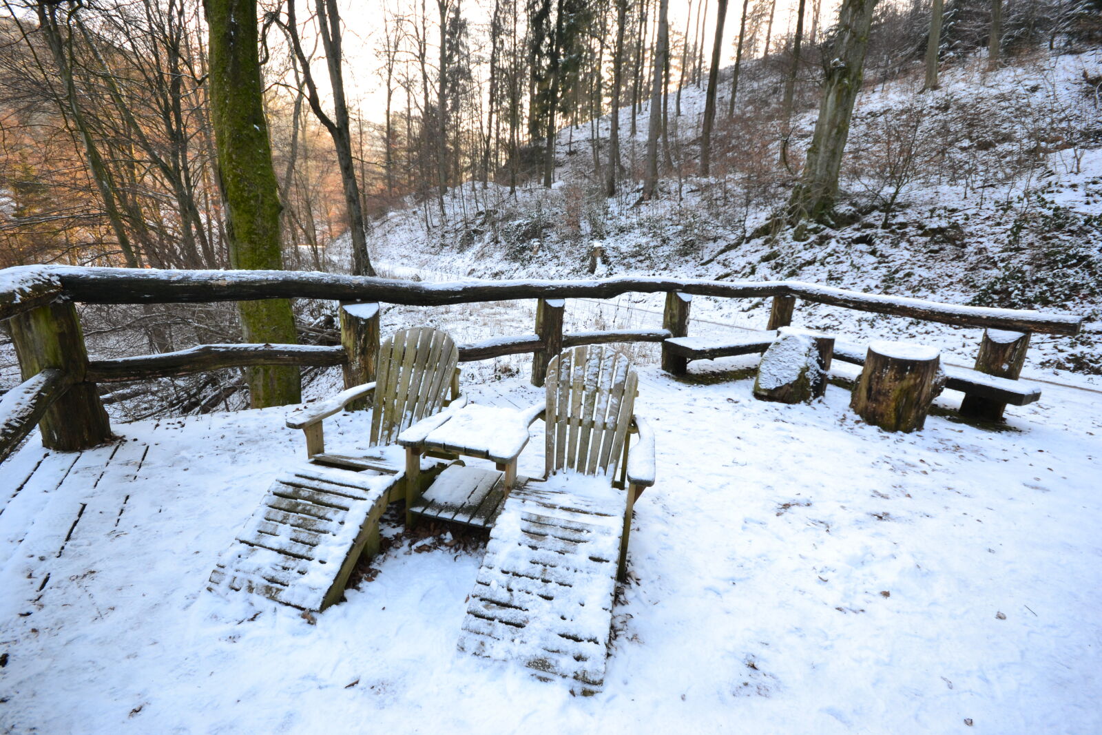 Sigma 10-20mm F4-5.6 EX DC HSM sample photo. Cold, forest, relax, snow photography