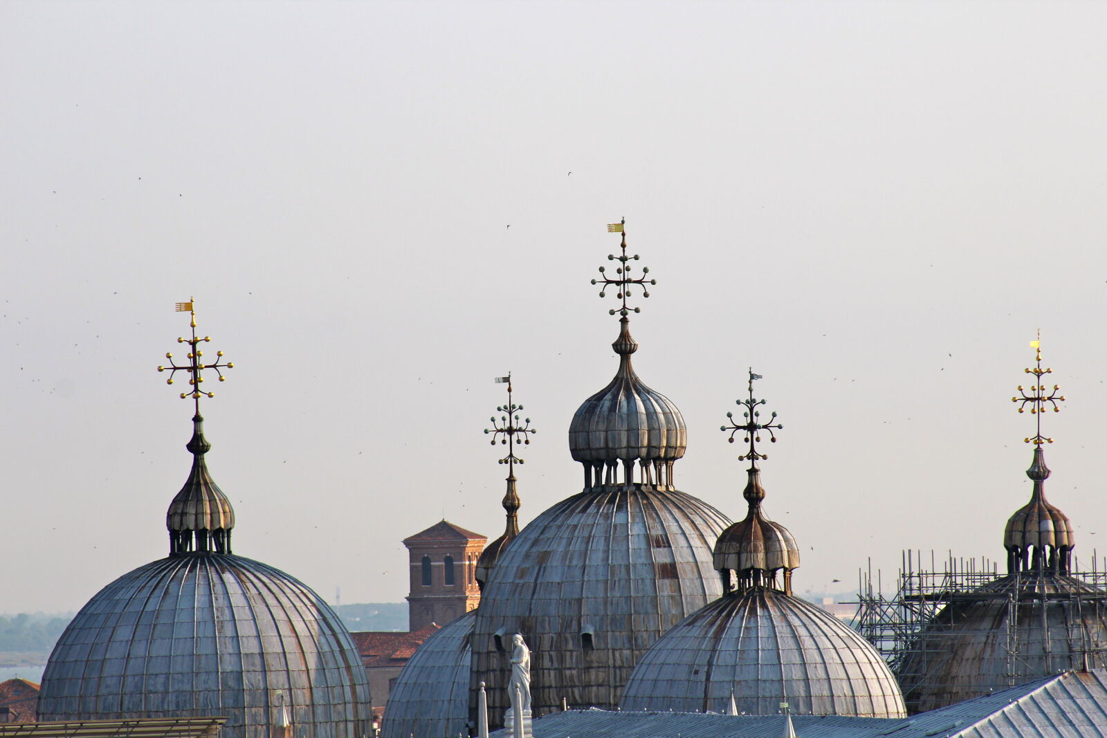 Canon EF 75-300mm f/4-5.6 sample photo