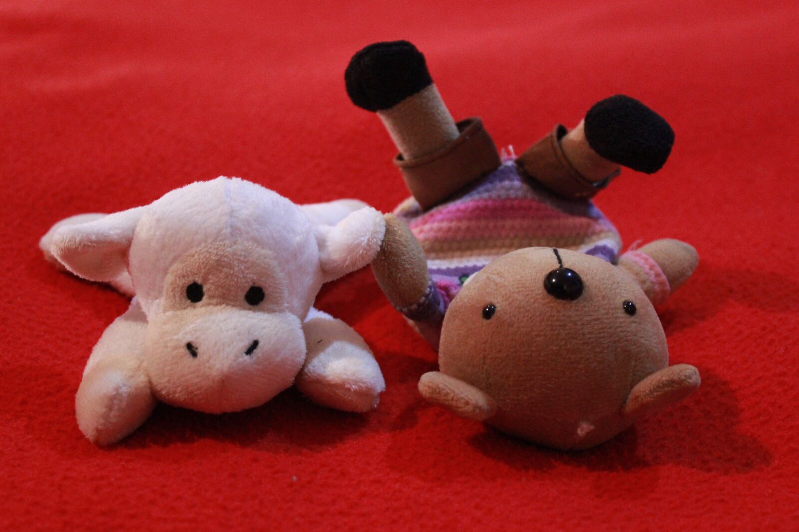 Canon EOS 600D (Rebel EOS T3i / EOS Kiss X5) sample photo. Teddy bear, friends, toy photography