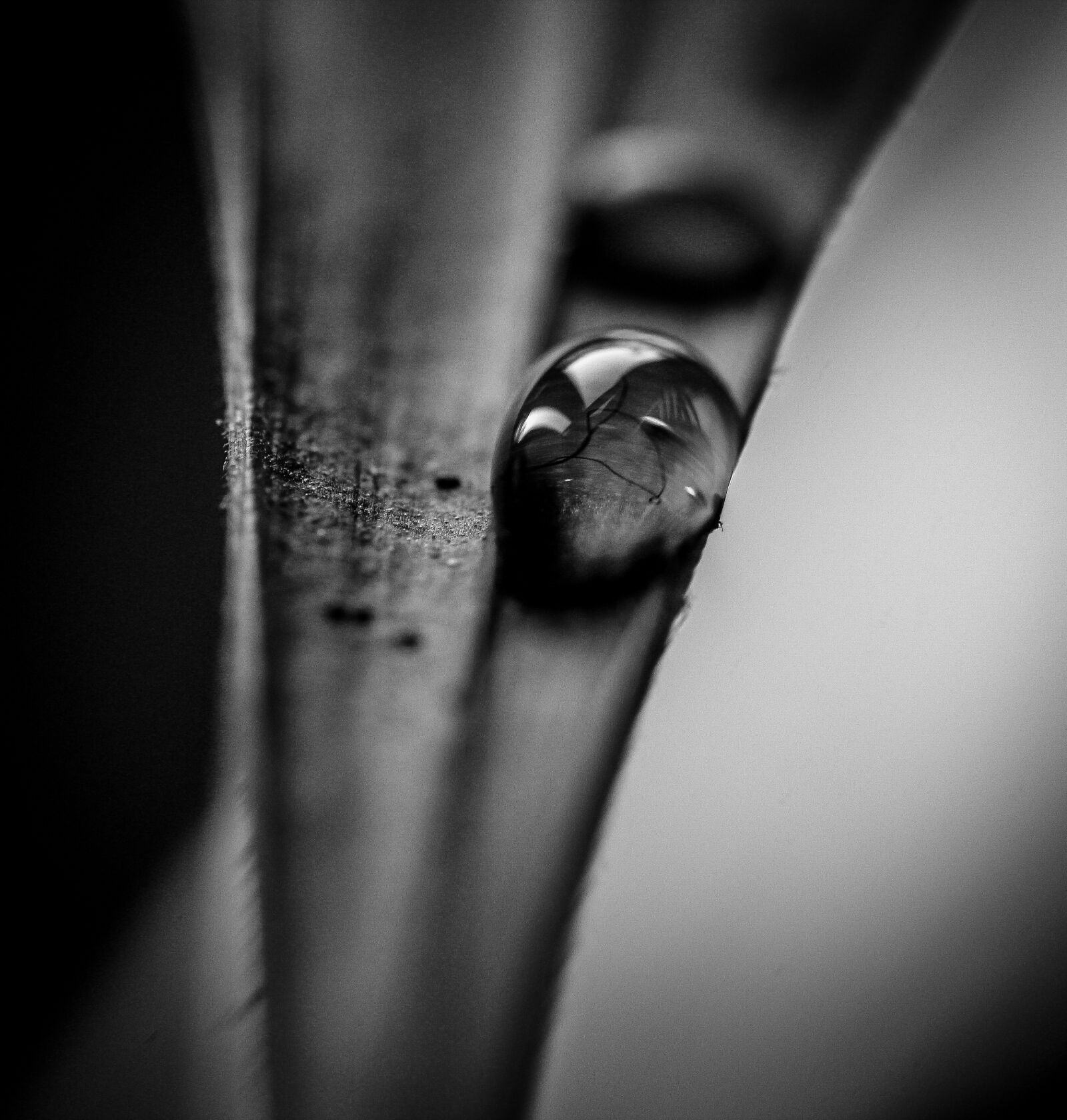 Canon EOS 550D (EOS Rebel T2i / EOS Kiss X4) sample photo. Black and white, drop photography