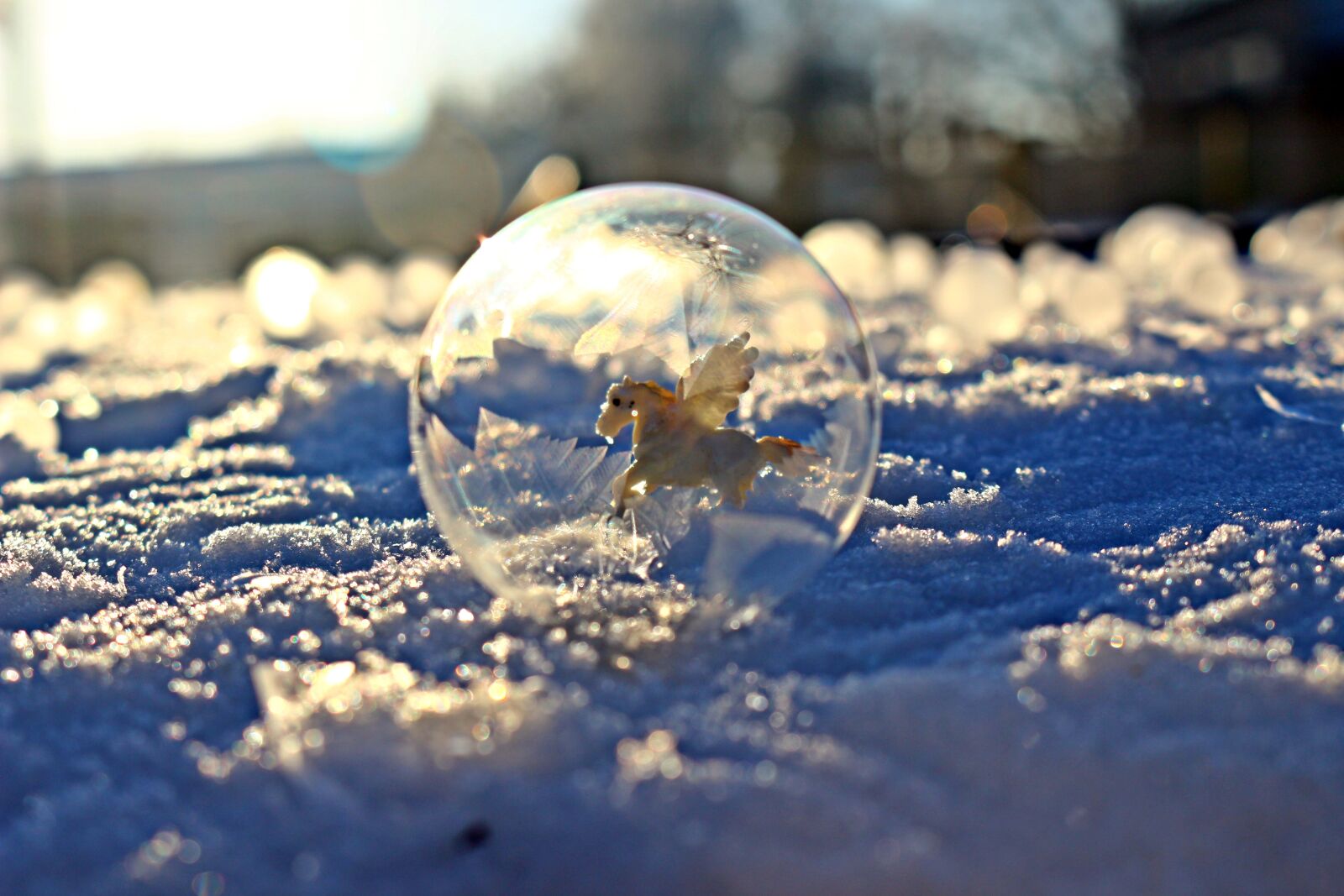 Canon EOS 100D (EOS Rebel SL1 / EOS Kiss X7) sample photo. Eiskristalle, ice bubble, frost photography