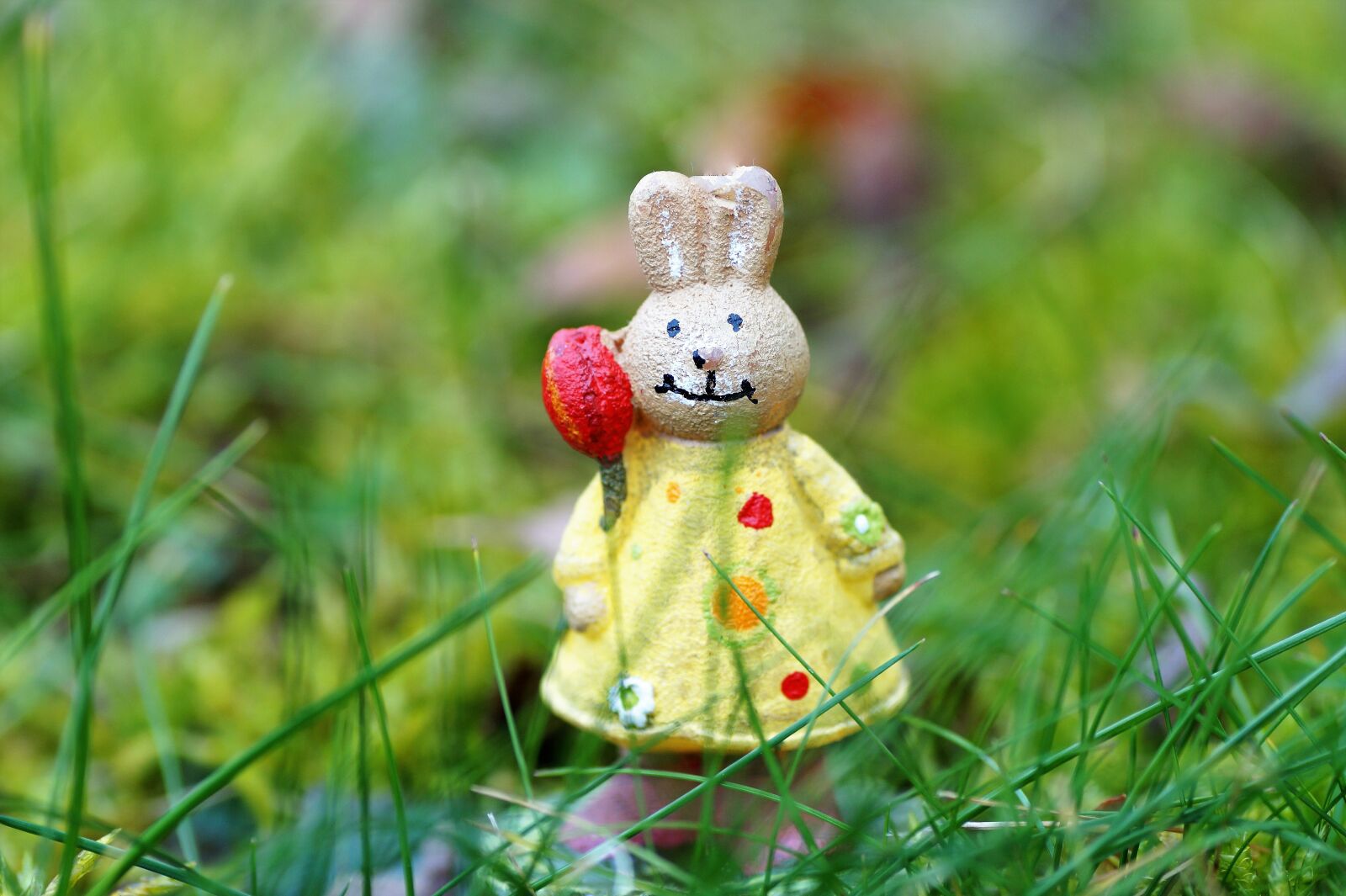 Sony SLT-A58 sample photo. Bunny girl, female hares photography