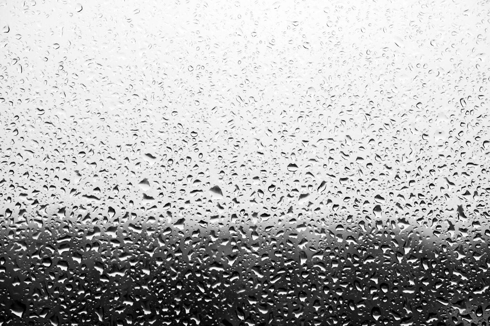 Canon EOS 750D (EOS Rebel T6i / EOS Kiss X8i) sample photo. Abstract, background, clean photography