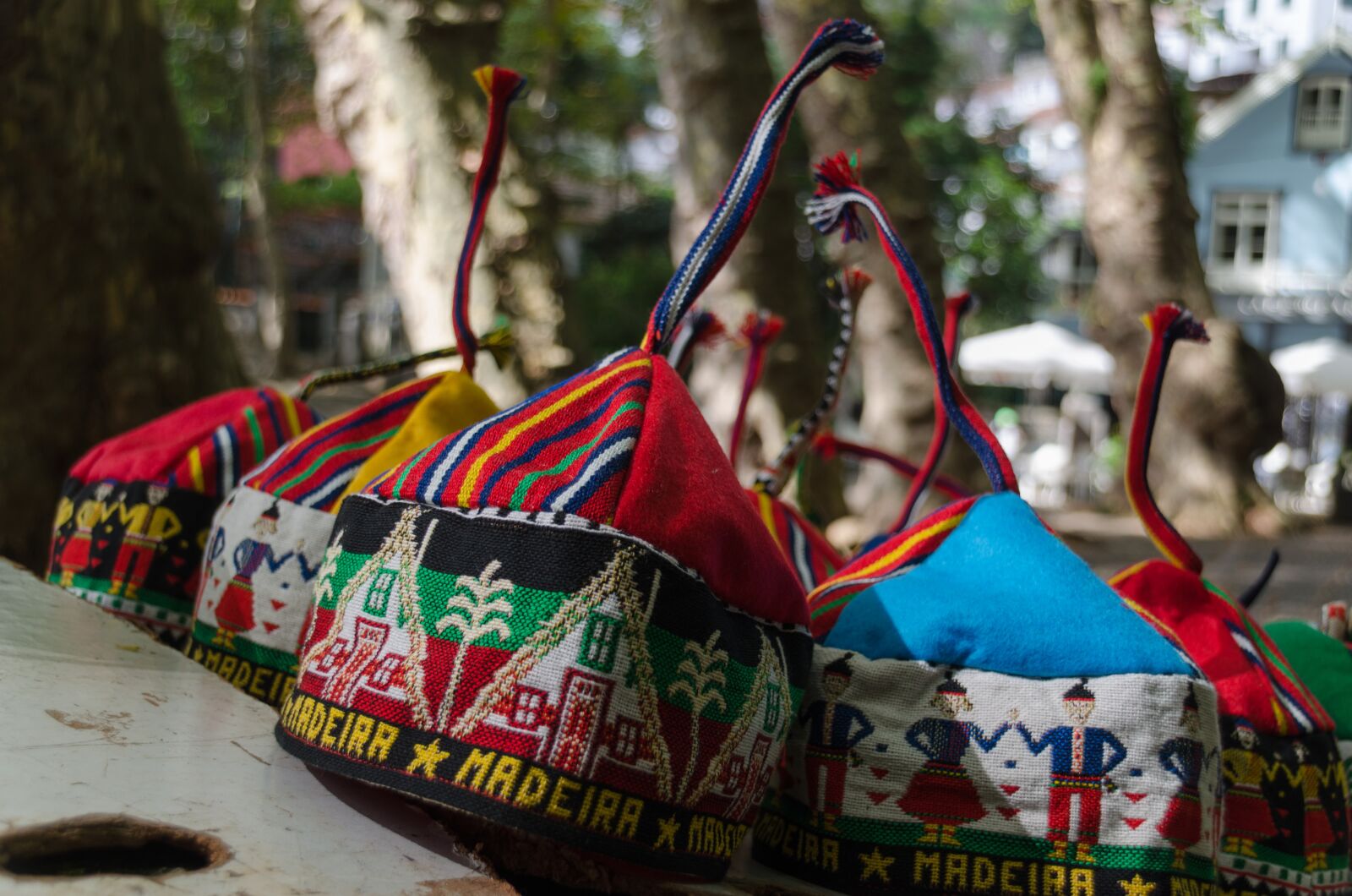 Nikon D5100 sample photo. Funchal, madeira, portugal photography