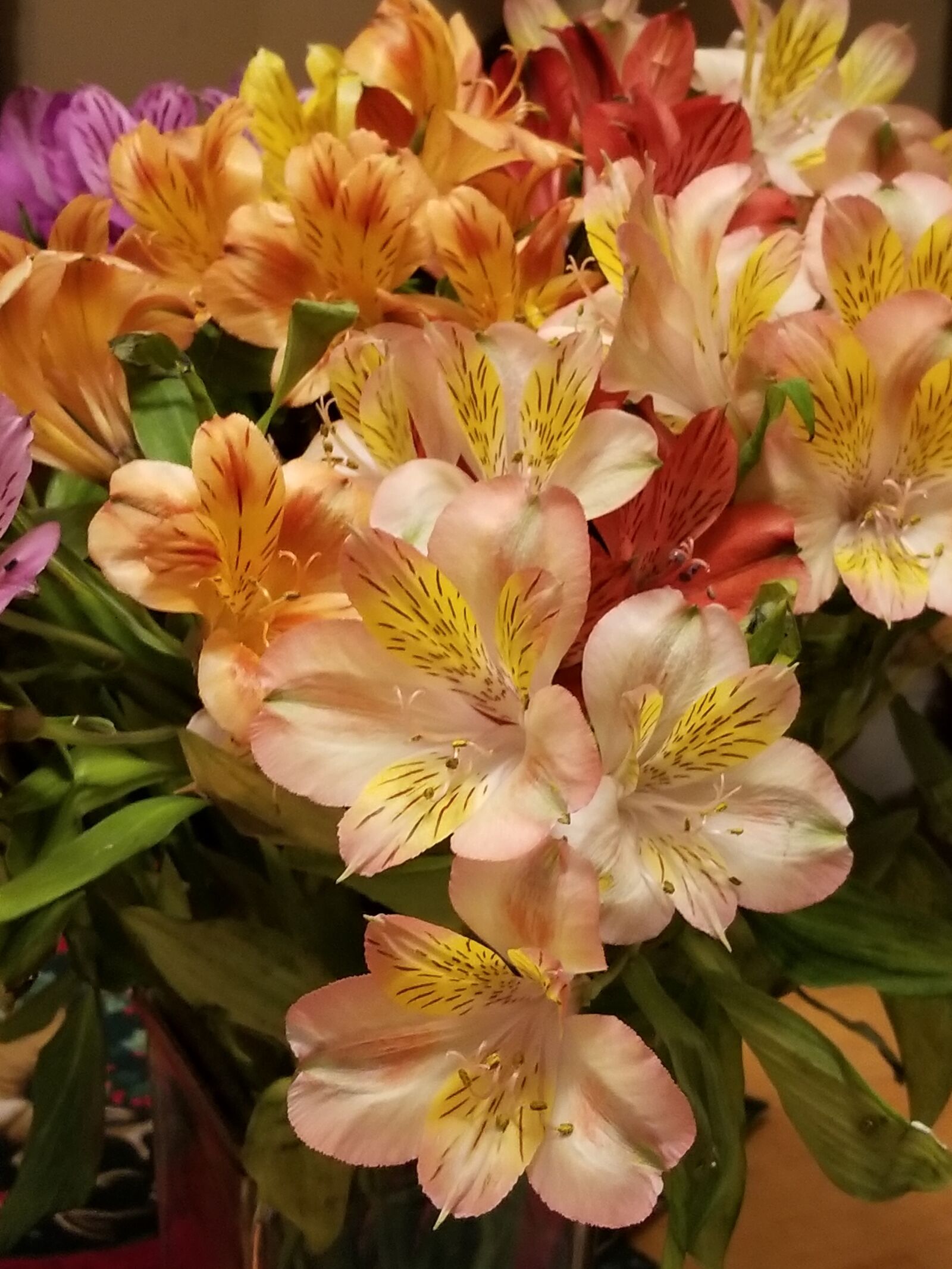 Samsung Galaxy S8+ sample photo. Flowers, floral, blossom photography