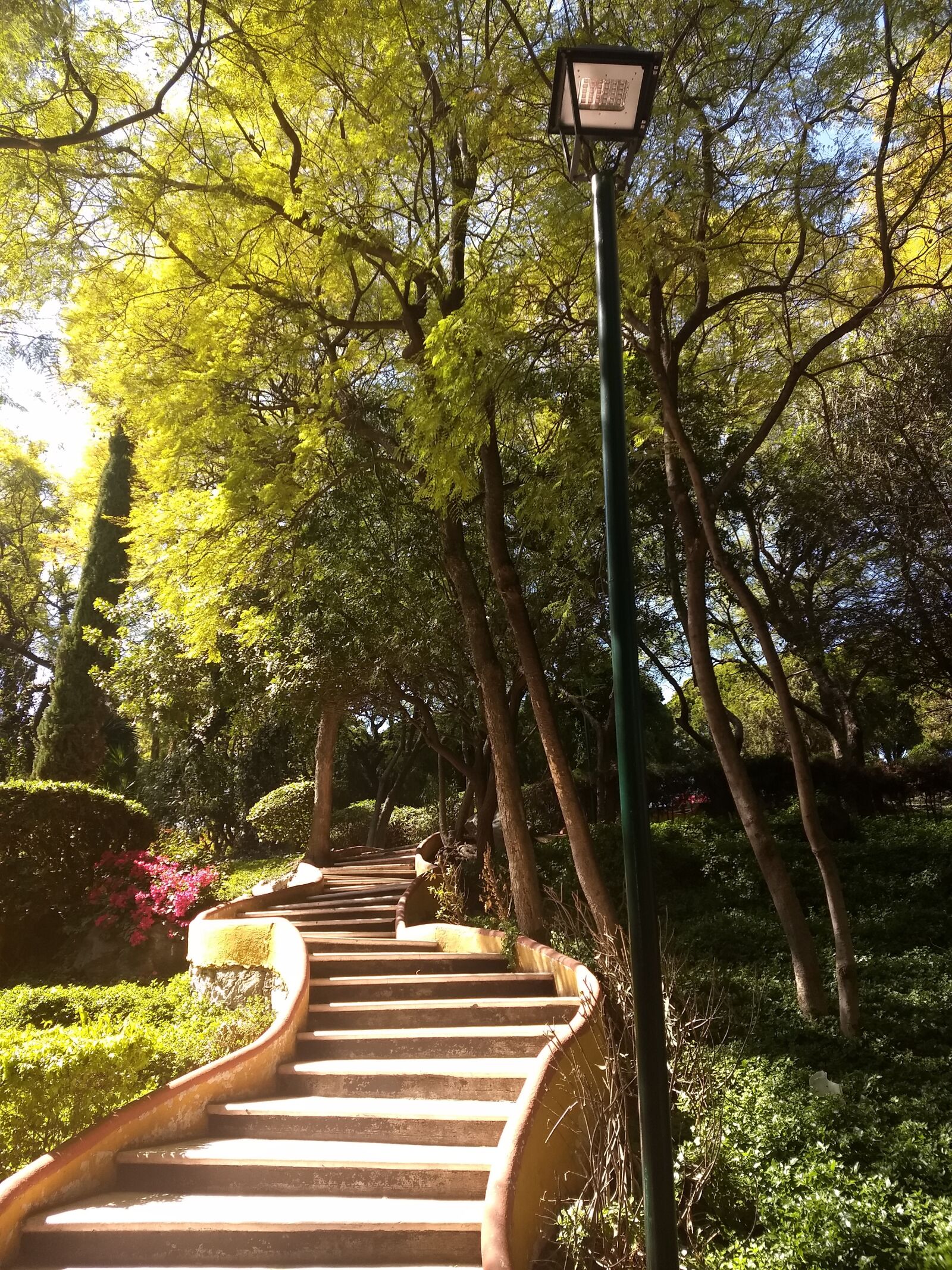 Motorola Moto Z (2) Play sample photo. Landscape, queretaro, path photography