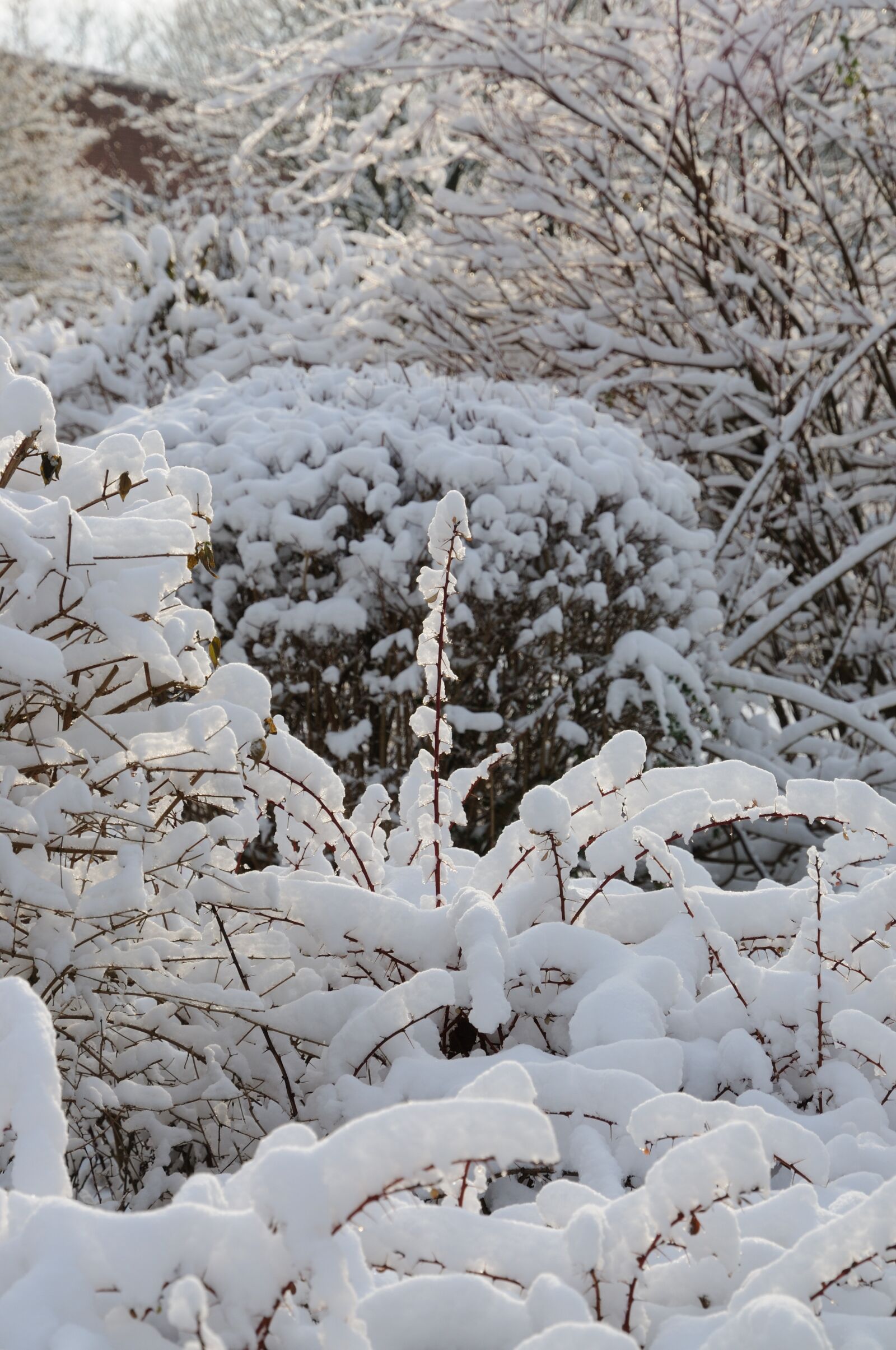 Nikon D300S sample photo. Winter, snow, landscape photography