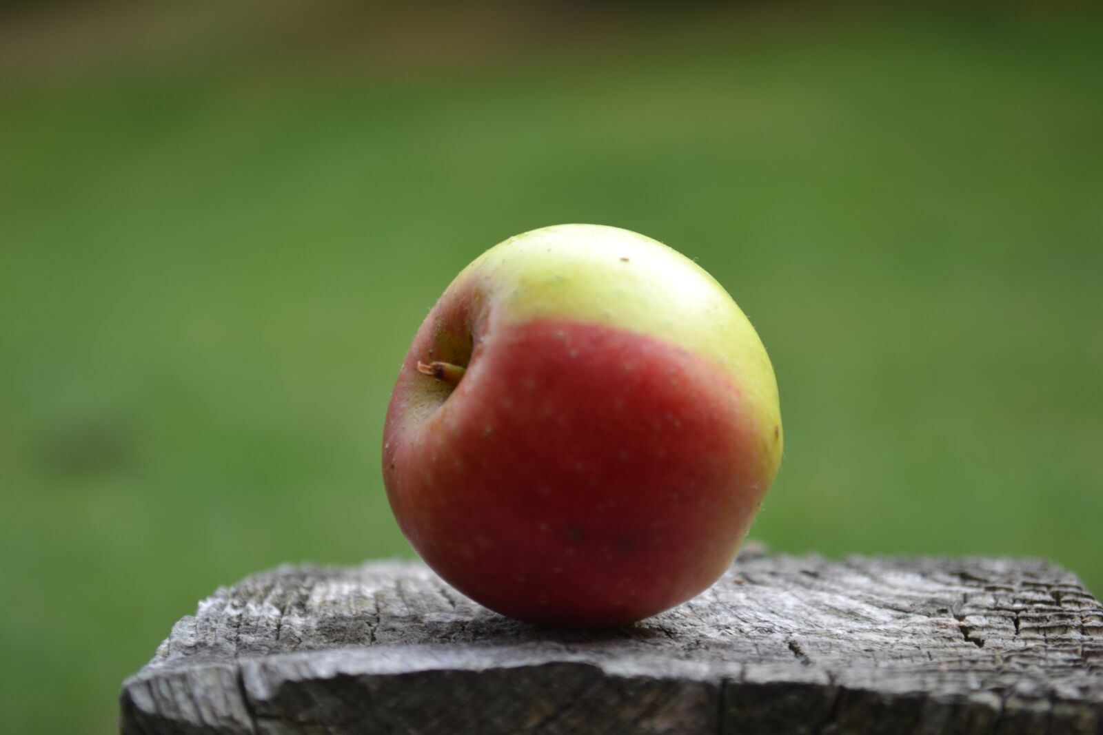 Nikon D3100 sample photo. Apple, apples photography
