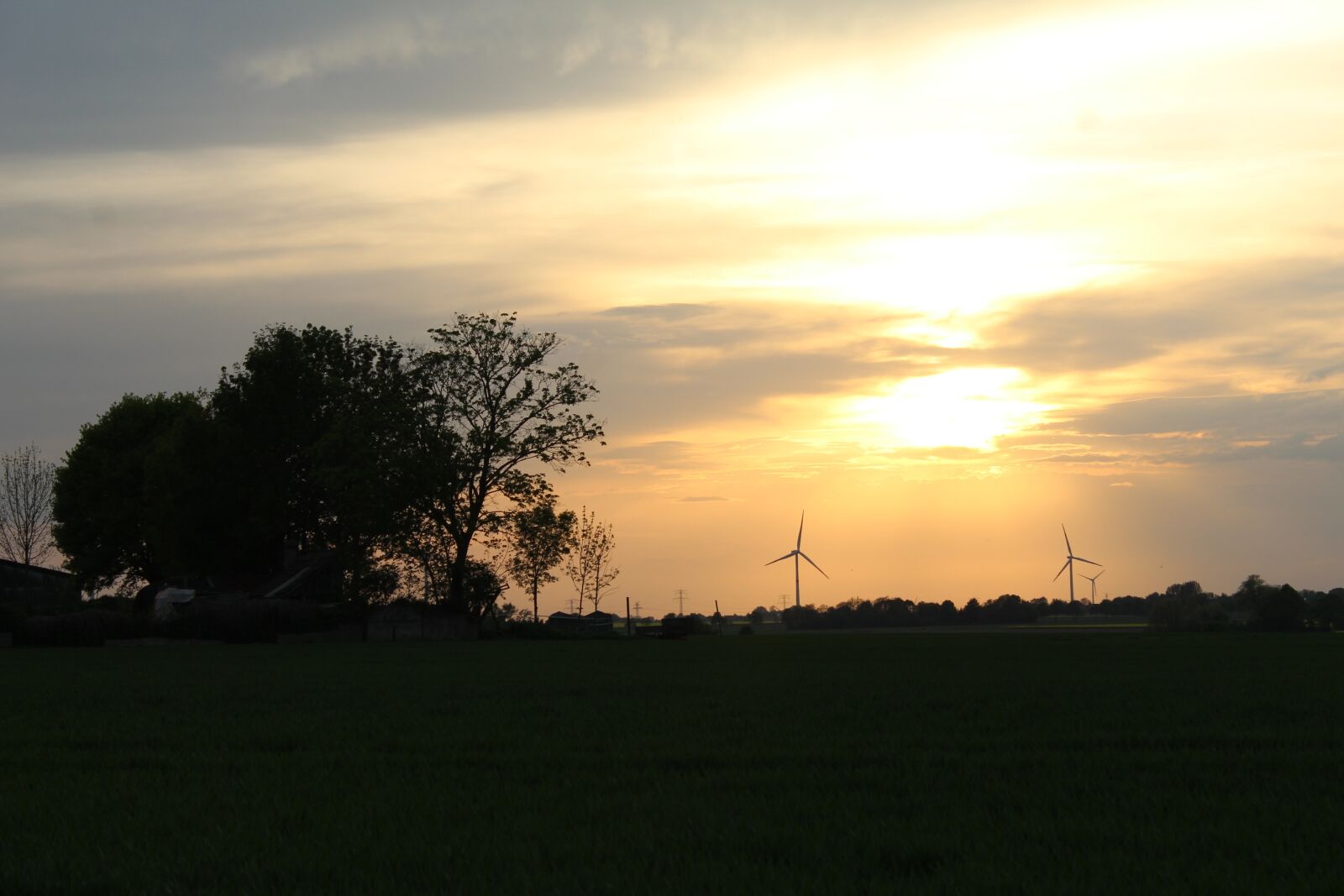 Canon EOS 1300D (EOS Rebel T6 / EOS Kiss X80) sample photo. Sunset, nature, tree photography