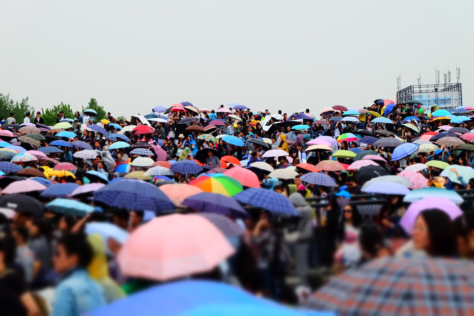 Fujifilm X-A1 sample photo. Umbrella, music festival, cloudy photography