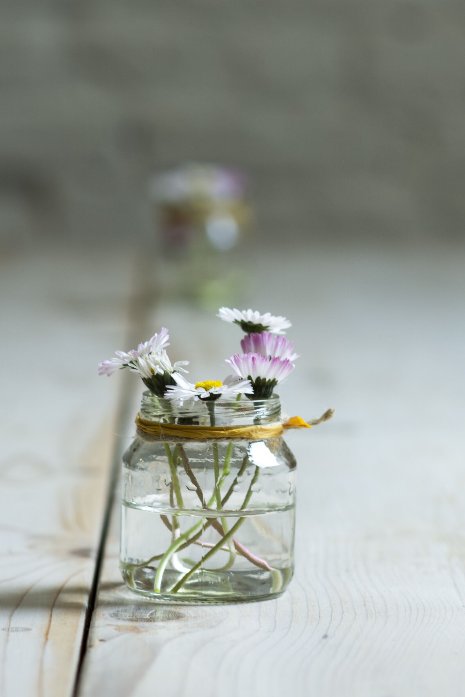 Nikon D7100 sample photo. Flowers, jar, vase photography