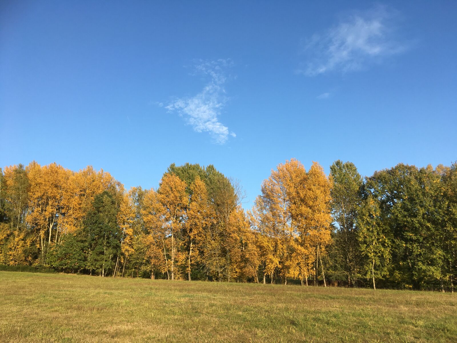 iPhone SE back camera 4.15mm f/2.2 sample photo. Autumn, heaven, landscape photography