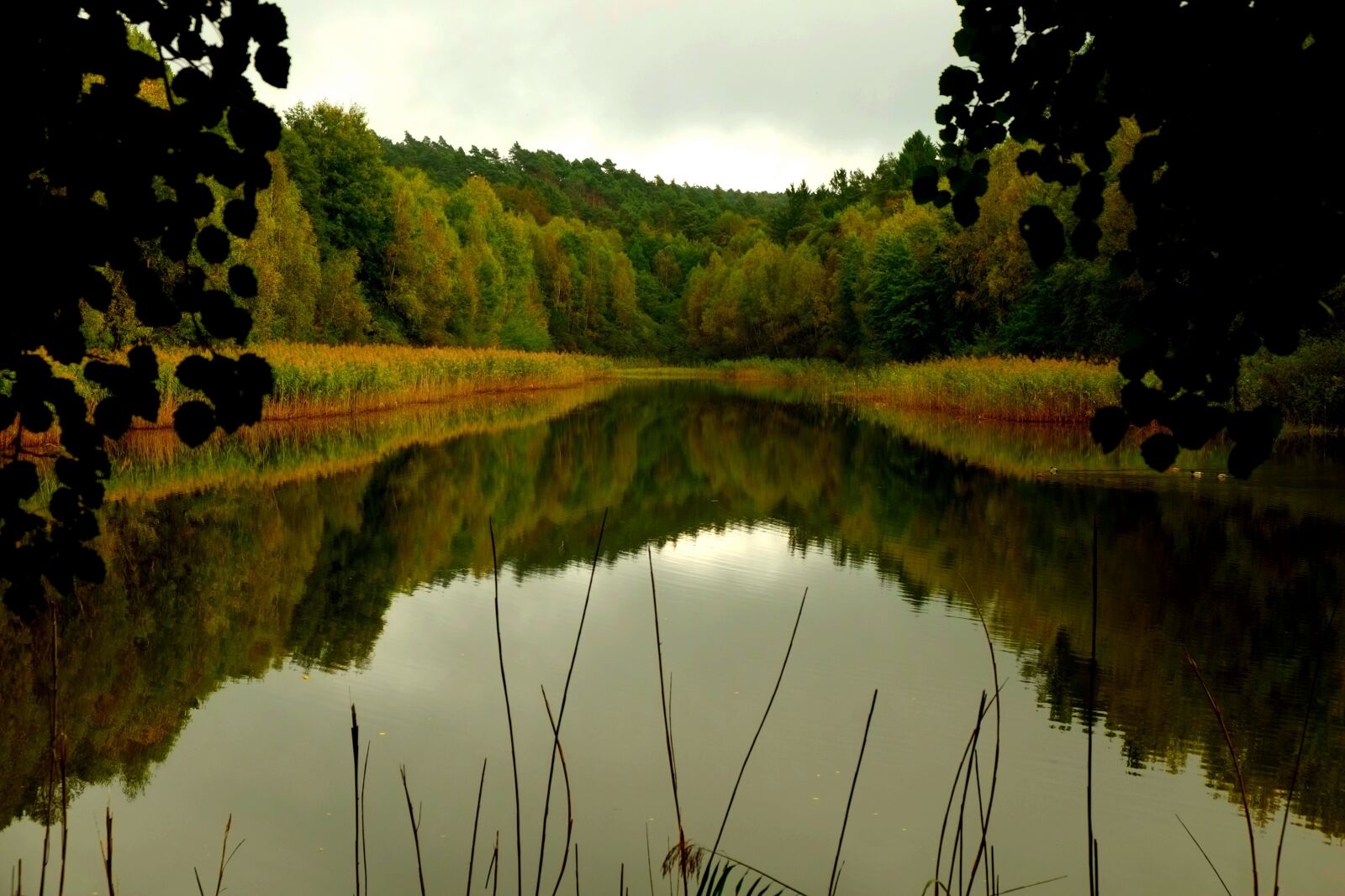 Fujifilm X-E1 sample photo. Lake, water, calm water photography