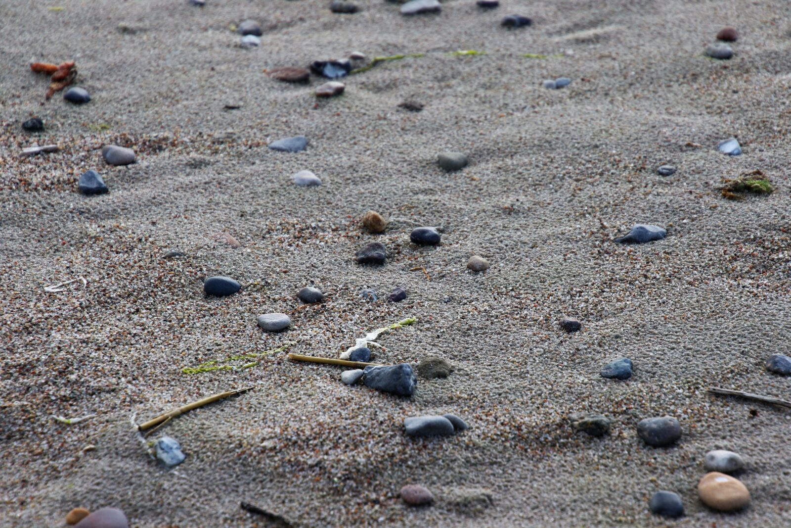 Canon EOS 7D Mark II sample photo. Background, beach, holiday, pepples photography