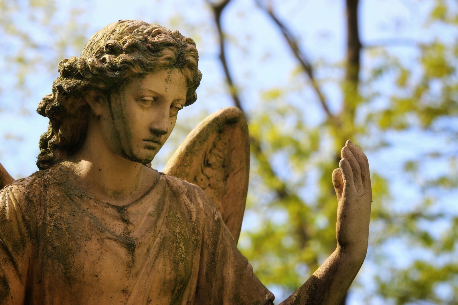Canon EF-S 55-250mm F4-5.6 IS STM sample photo. Angel, sculpture, cemetery photography