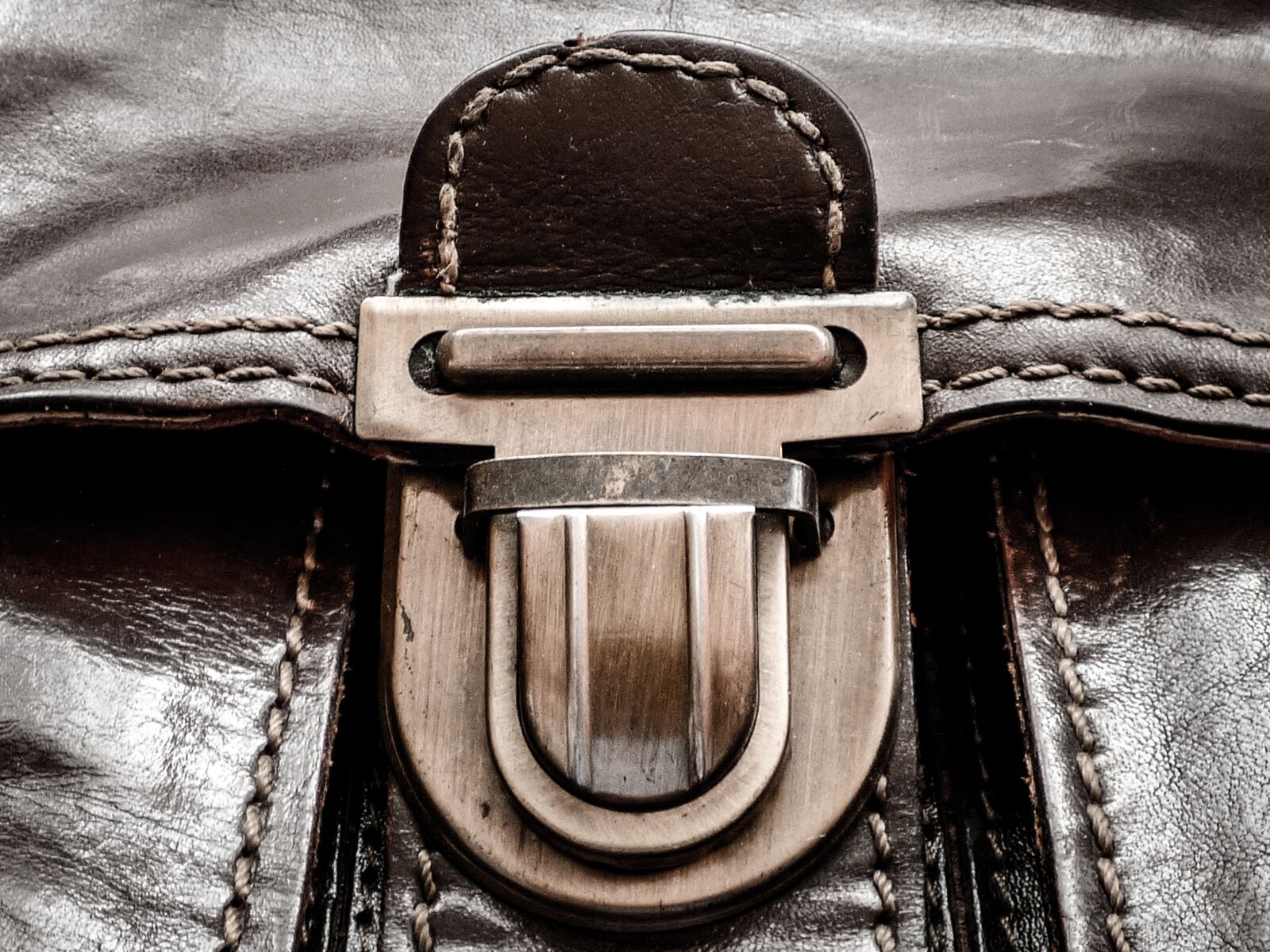 Panasonic DMC-FZ72 sample photo. Bag, skin, buckle photography