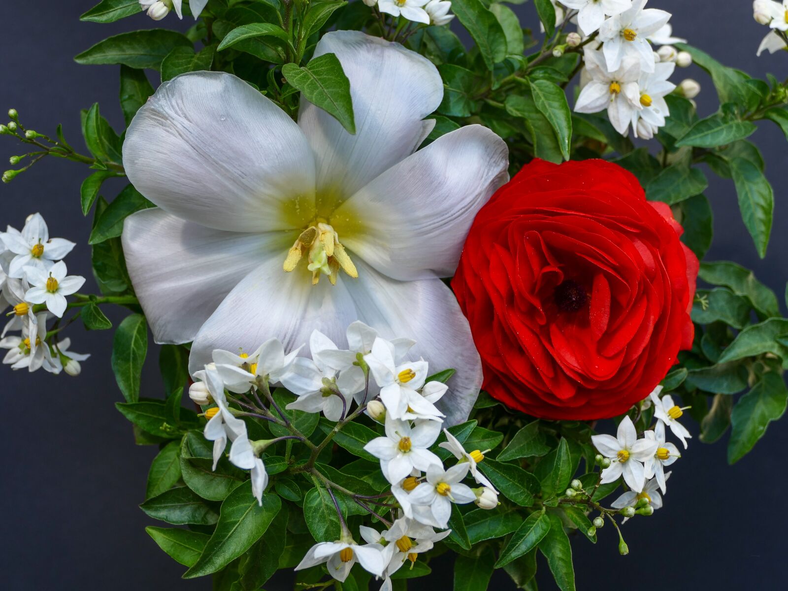 Panasonic Lumix DMC-FZ1000 sample photo. Flower arrangement, red ranunculus photography