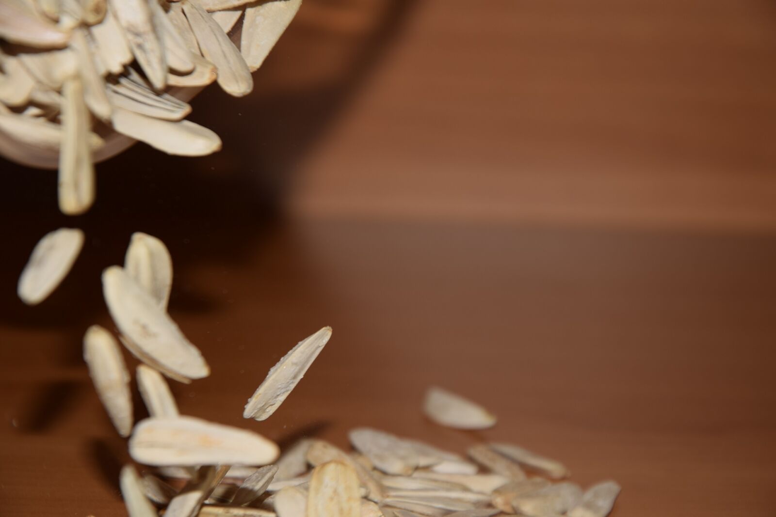 Nikon D3300 sample photo. Sunflower, sunflower seeds, sun photography