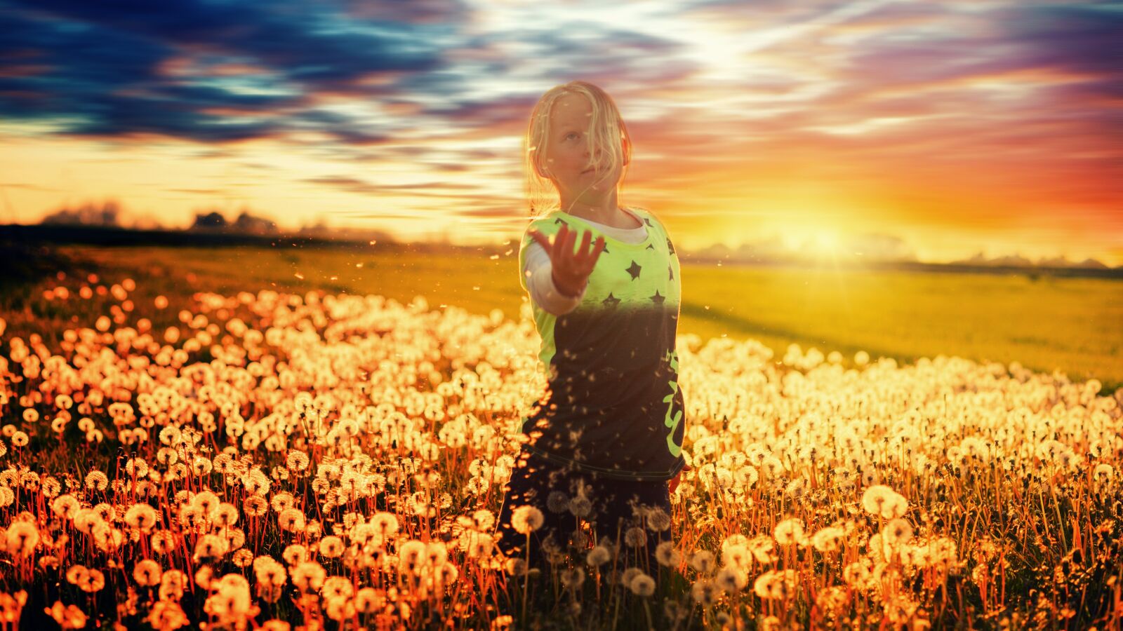 Canon EOS 5D + Canon EF 85mm F1.8 USM sample photo. Dandelions, sunset, girl photography