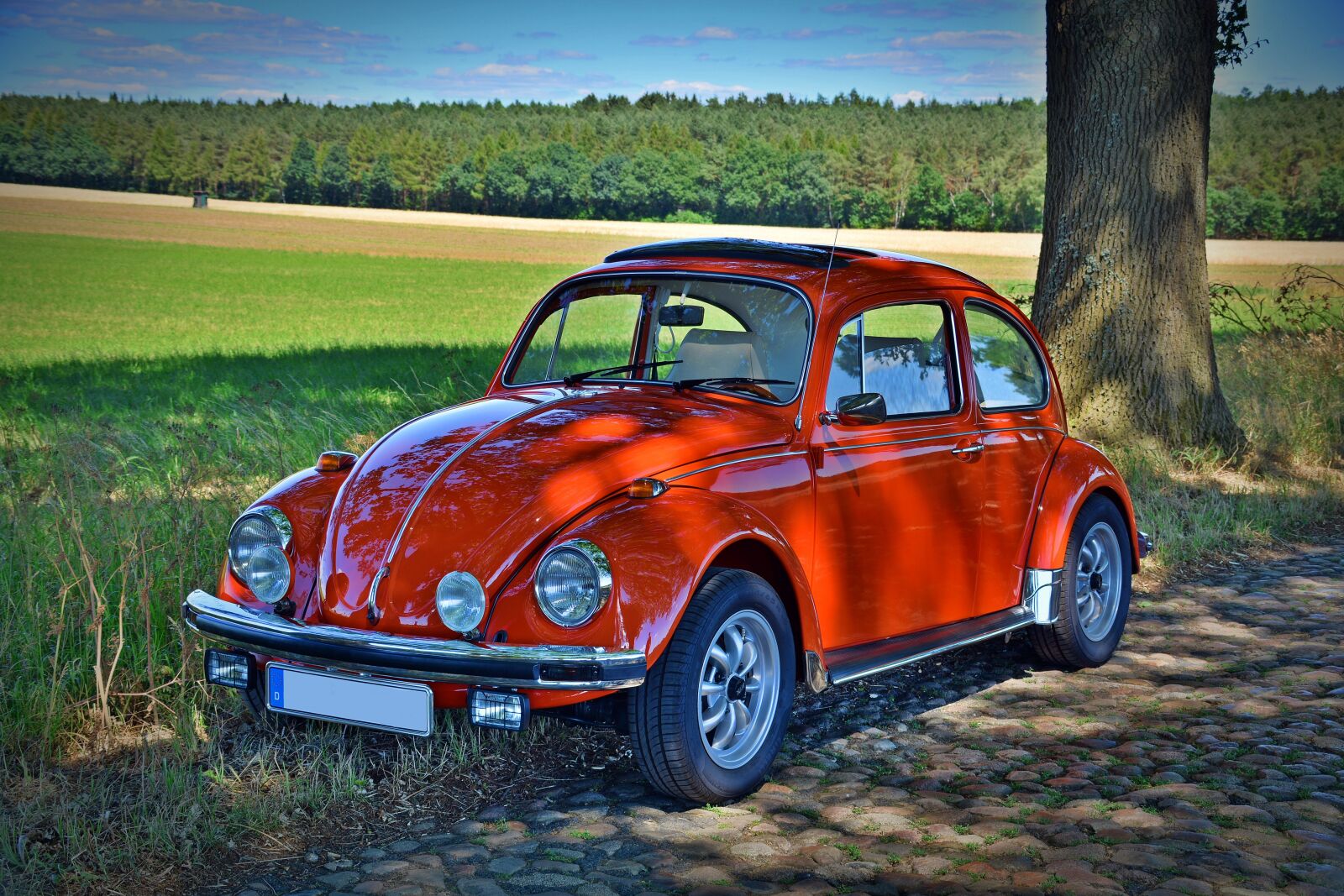 Nikon D5200 sample photo. Oldtimer, vw beetle, classic photography