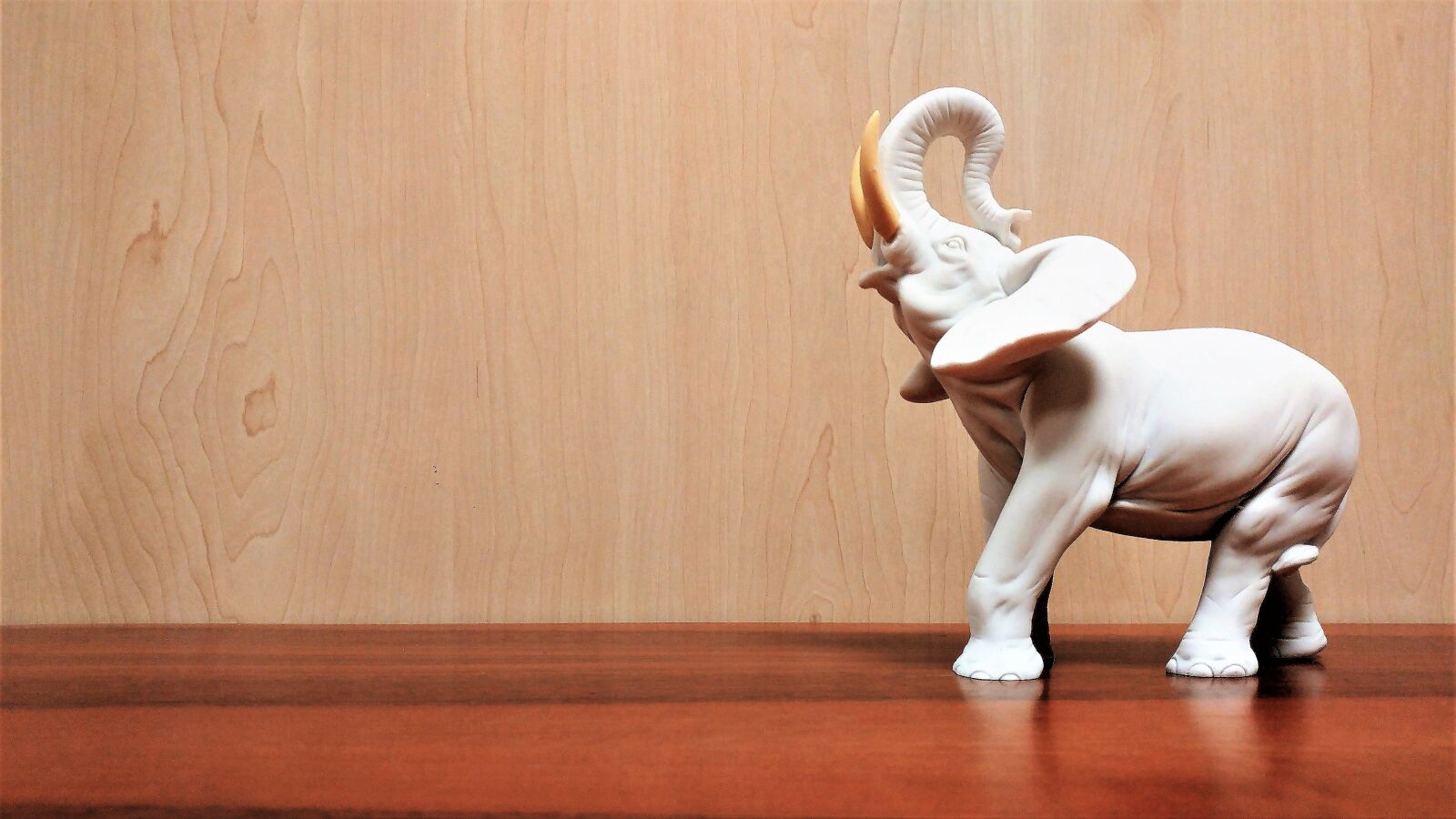 LG G5 sample photo. Wallpaper, elephant, marble photography