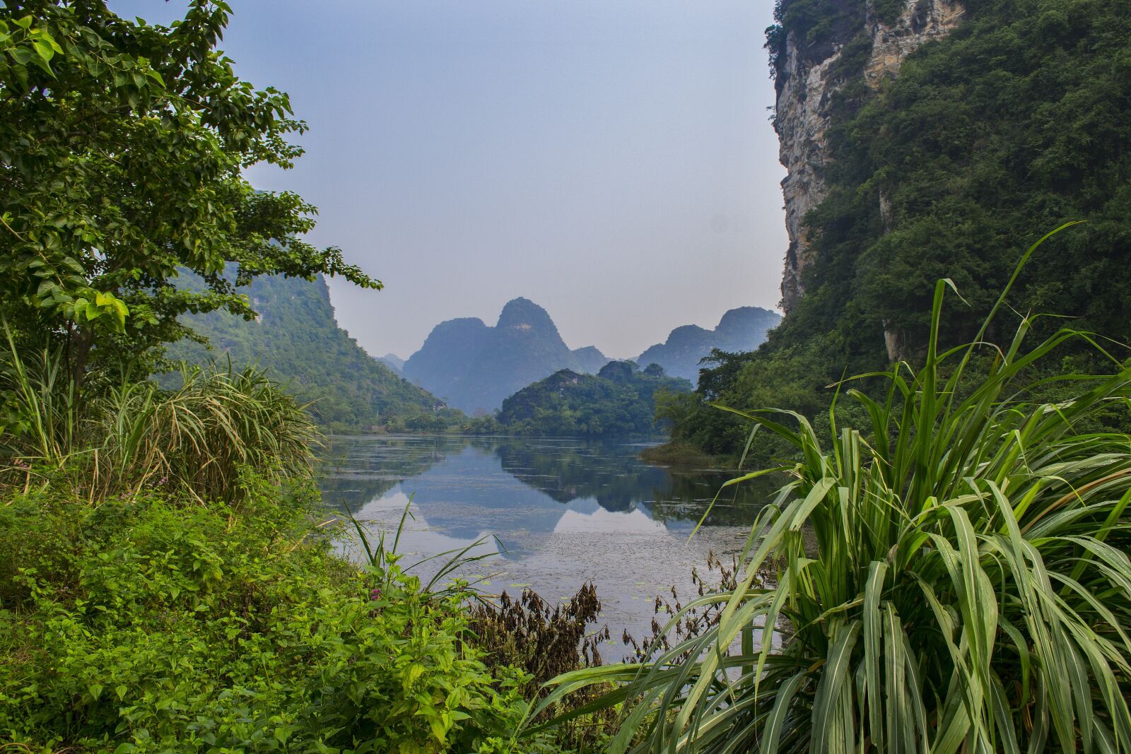 Nikon D3100 sample photo. Lake, jungle, nature photography