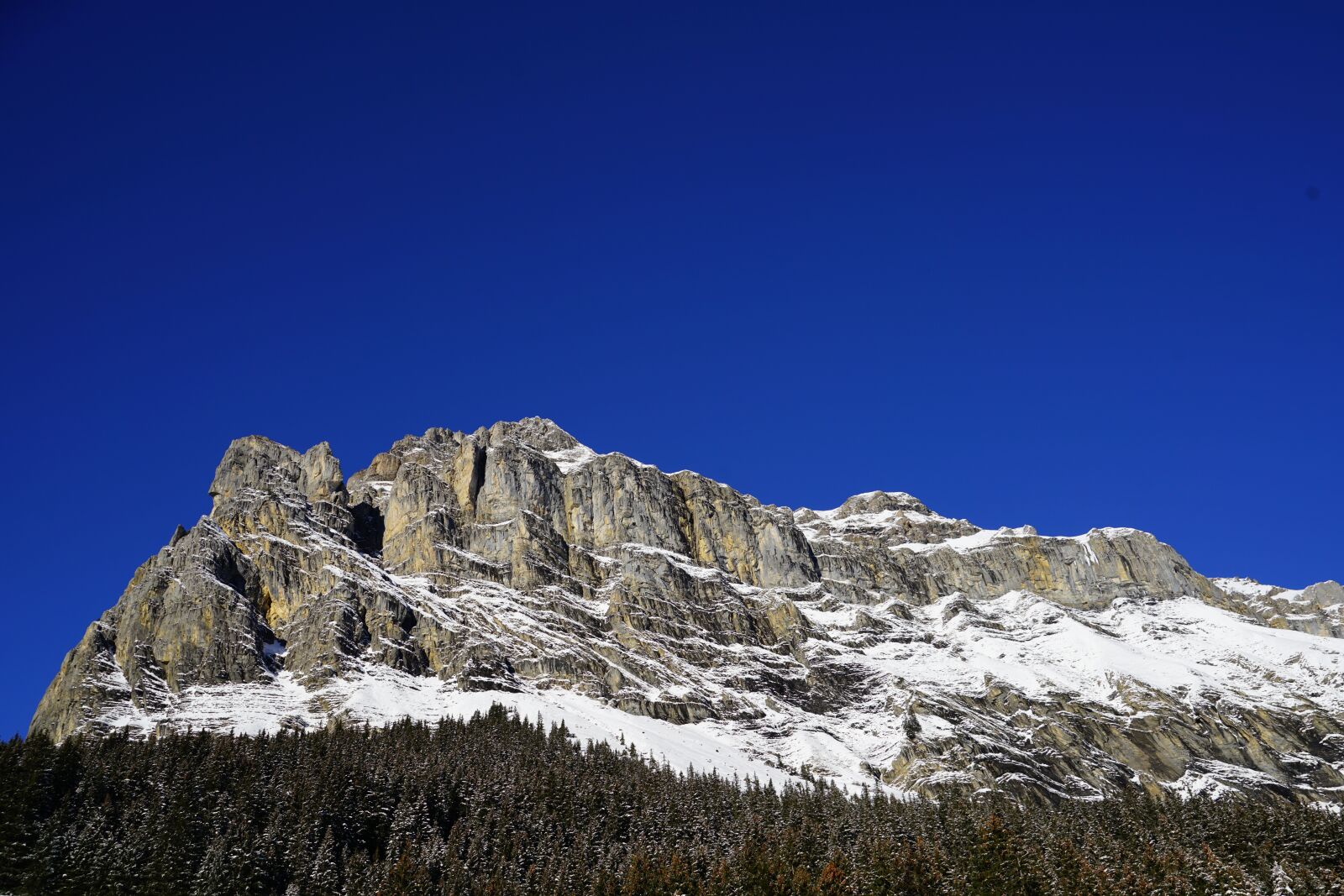 Sony a7R II + Sony FE 24-240mm F3.5-6.3 OSS sample photo. Mountain, rock wall, bire photography