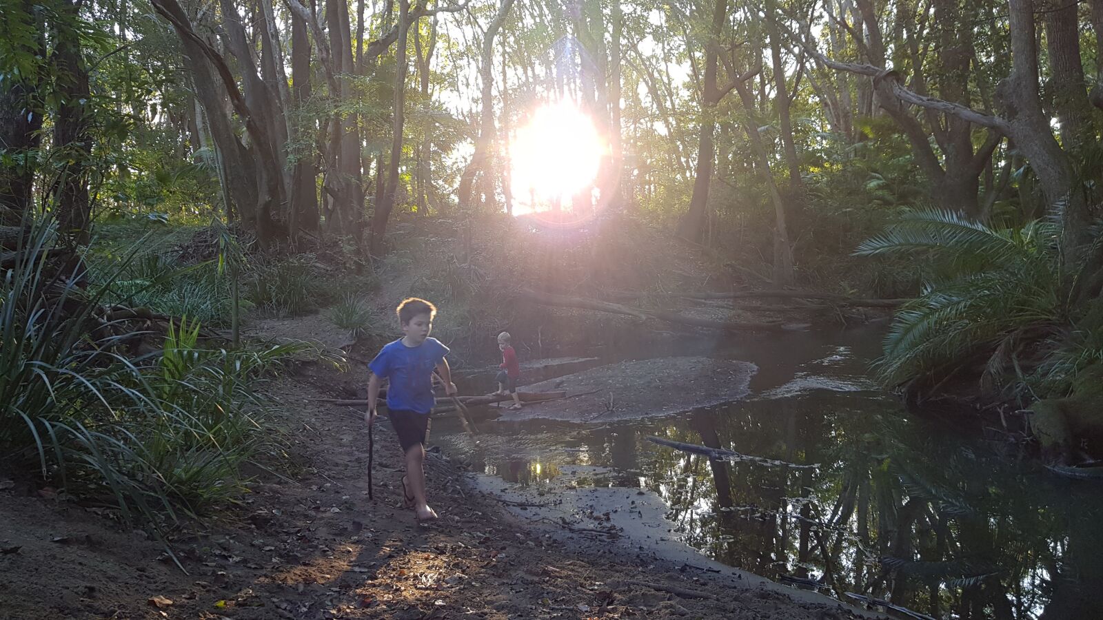 Samsung Galaxy S8 sample photo. The creek, nature play photography