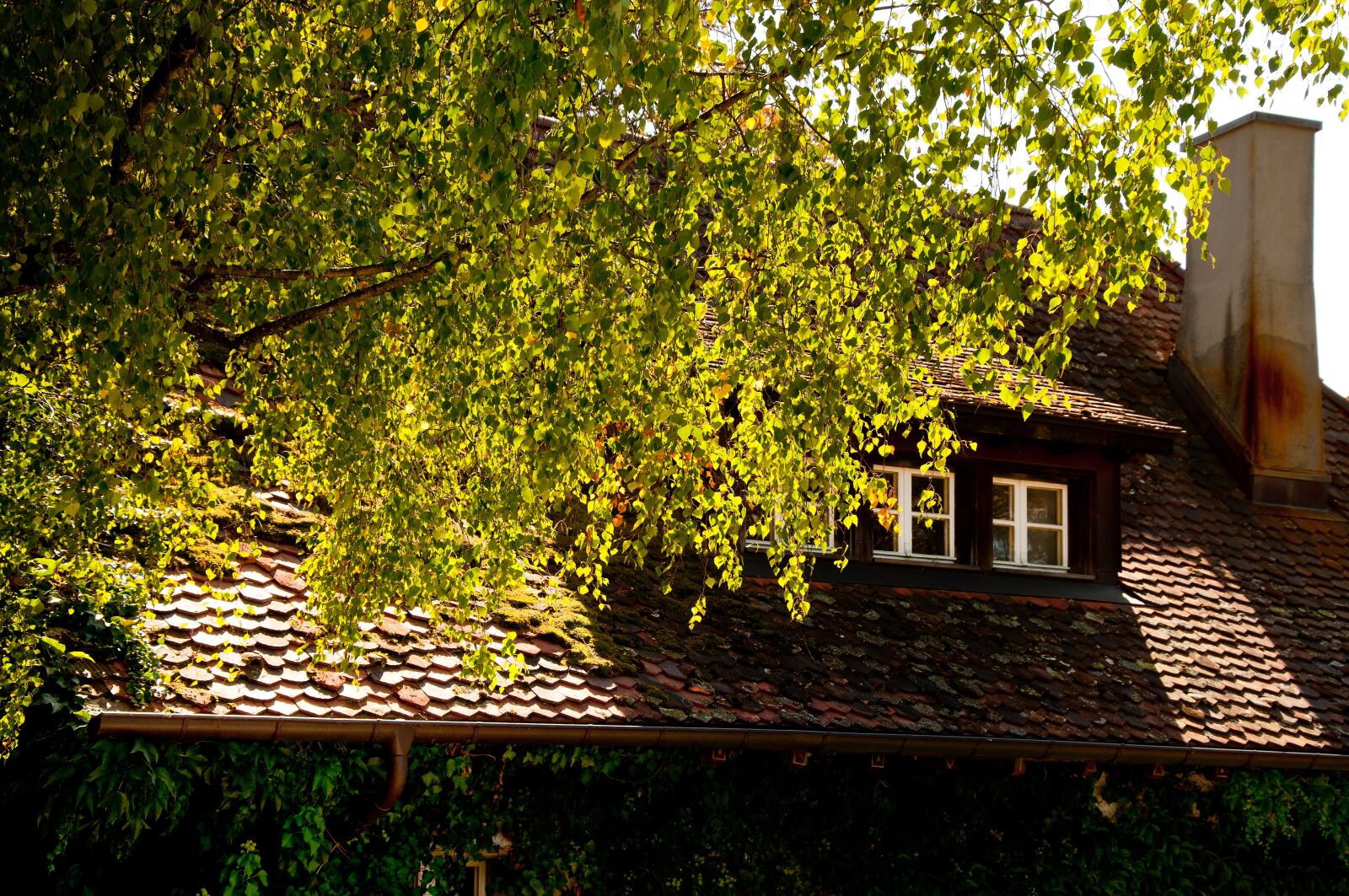Nikon D90 sample photo. Cottage, haunting, forest lodge photography