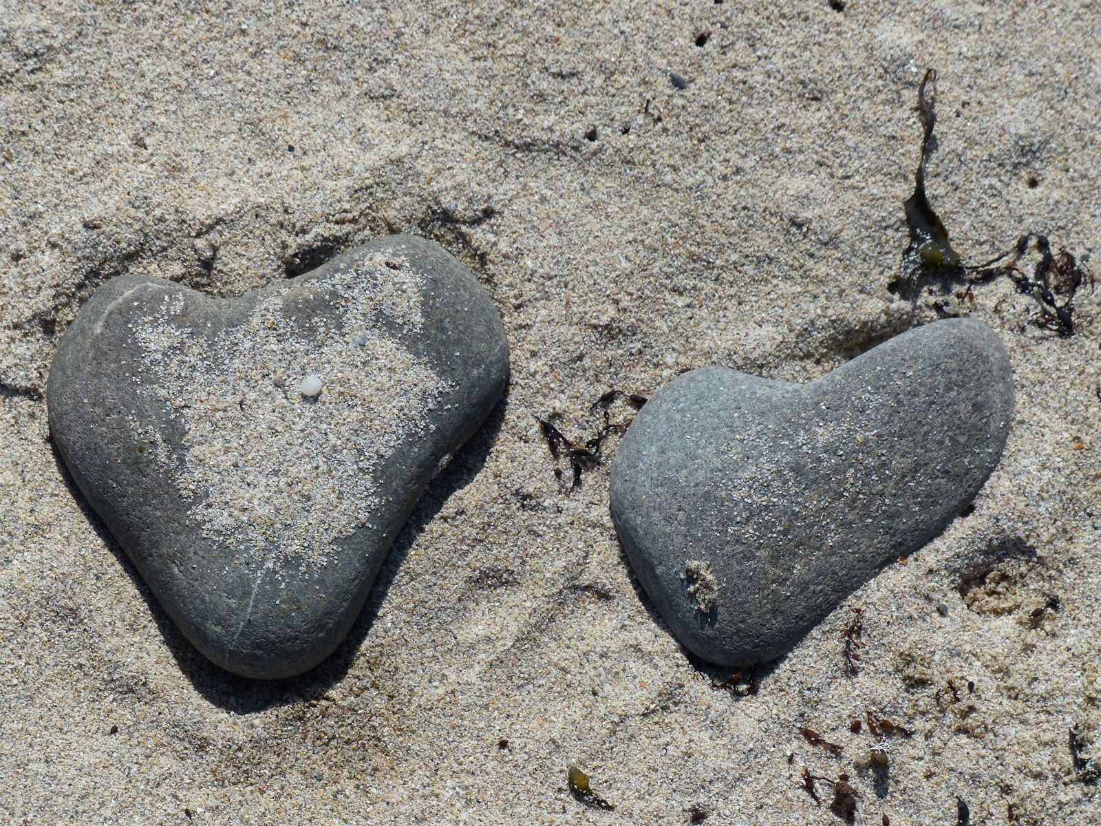 Panasonic Lumix DMC-FZ200 sample photo. Heart, stones, sand photography