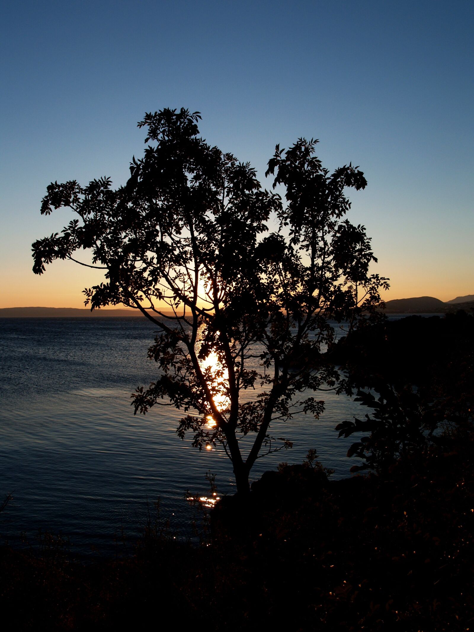Olympus E-300 (EVOLT E-300) sample photo. Sunset, sea, evening photography