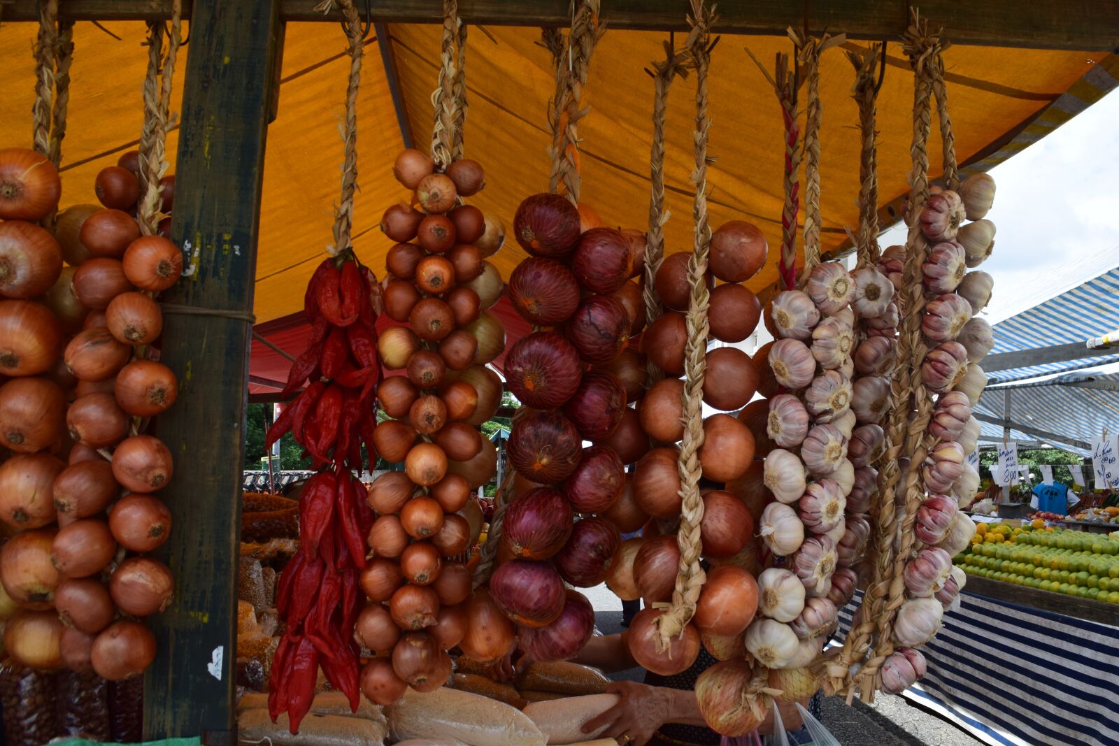 Nikon D3300 sample photo. Sao paulo, onions, market photography
