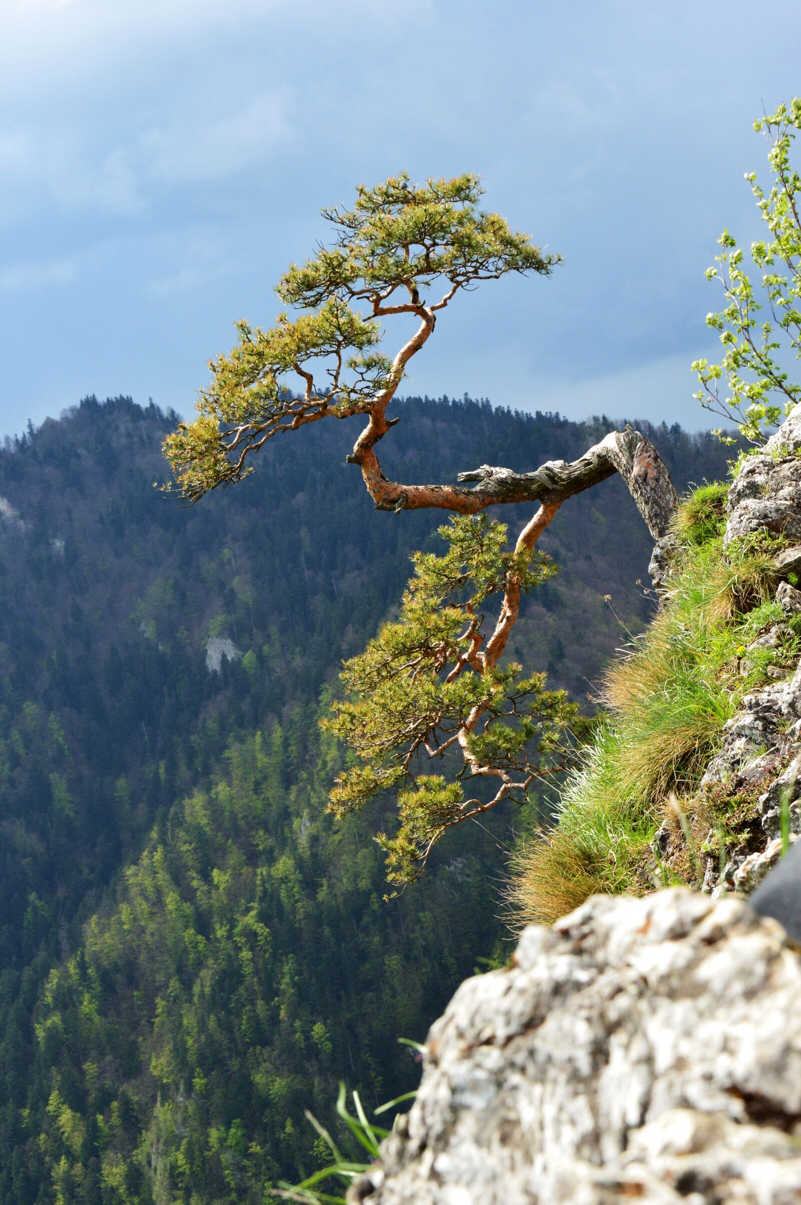 Nikon D3200 sample photo. Poland, mountains, pieniny photography