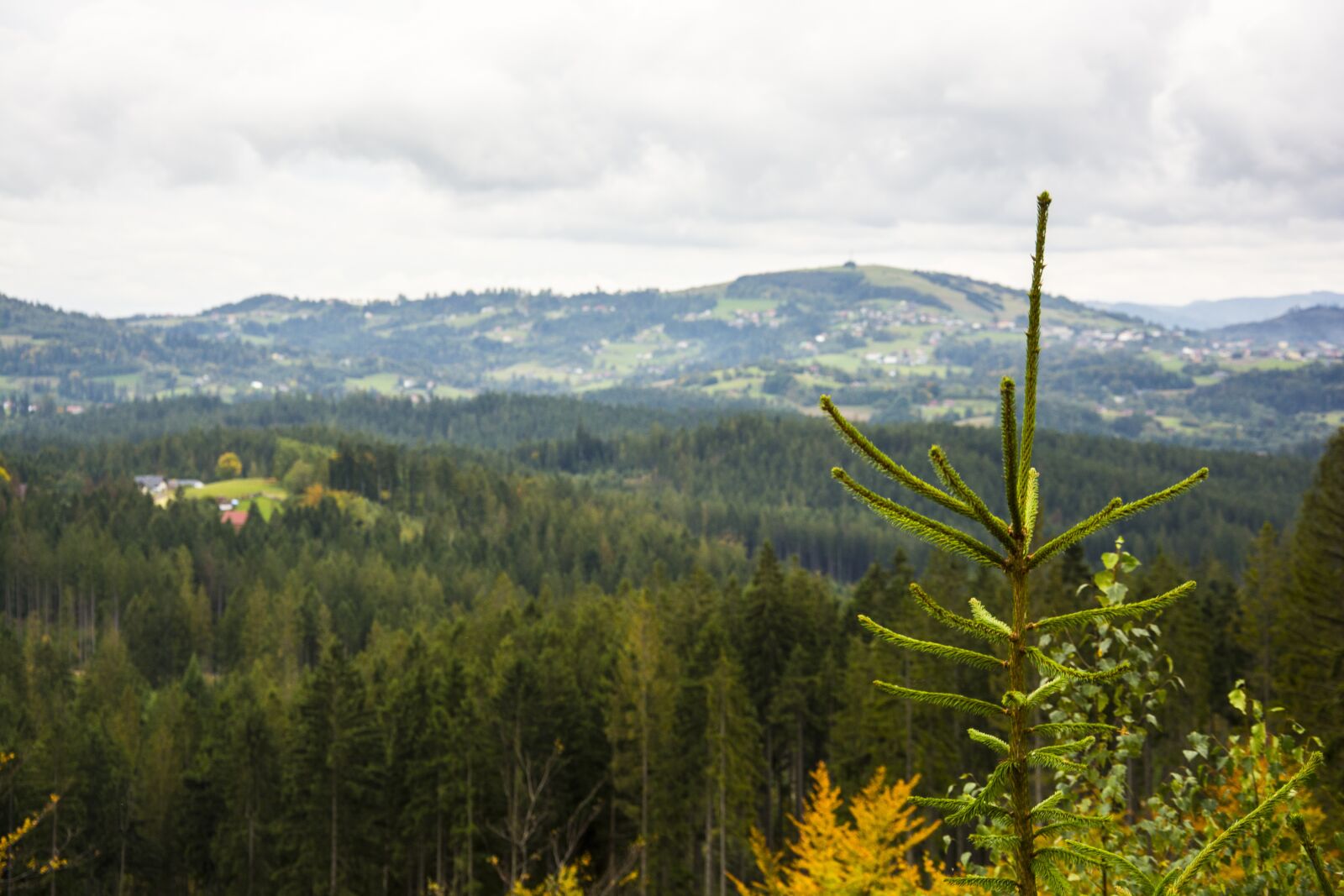 Nikon D5200 sample photo. Wisla, landscape, nature photography