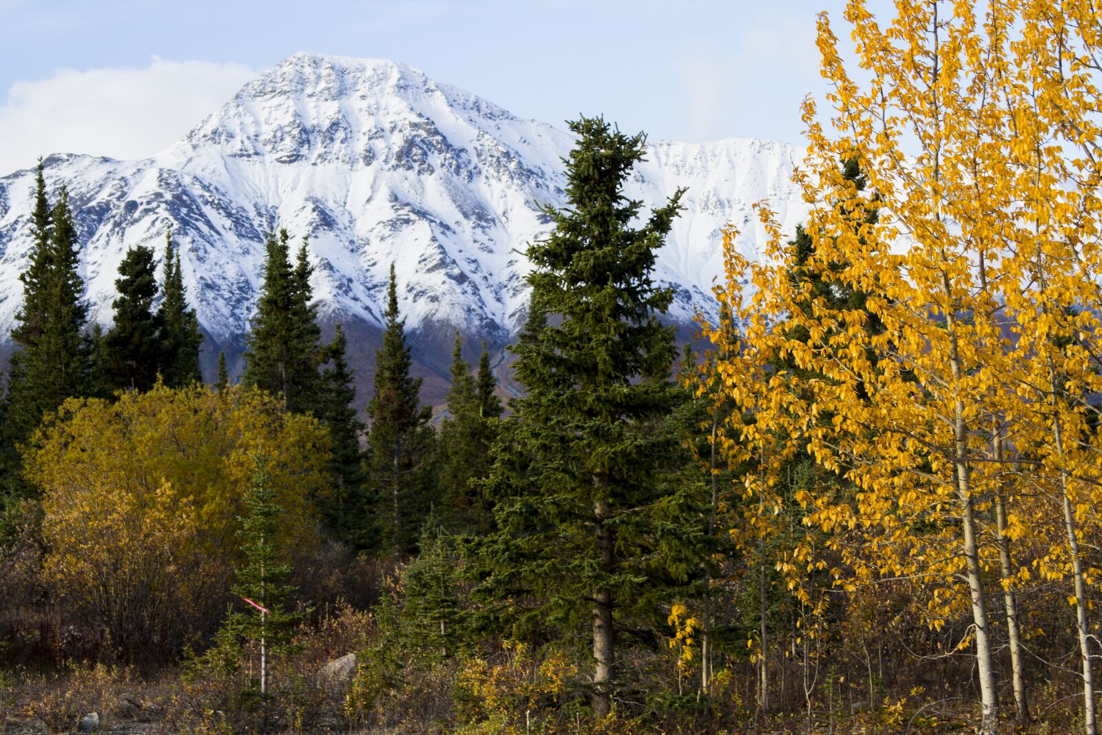 Canon EF 28-135mm F3.5-5.6 IS USM sample photo. Canada, fall, nature photography