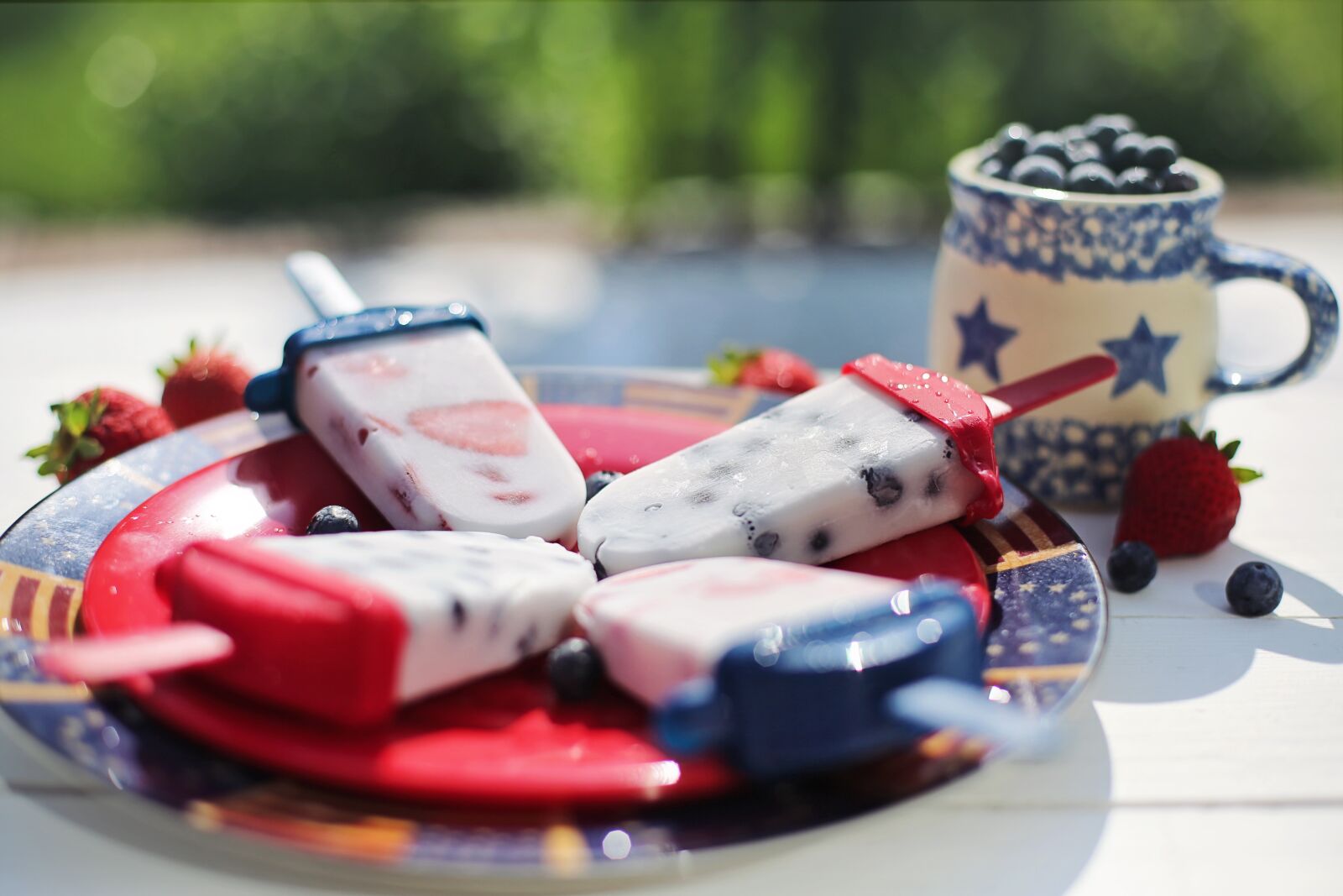 Canon EF 50mm F1.4 USM sample photo. Fourth of july, picnic photography