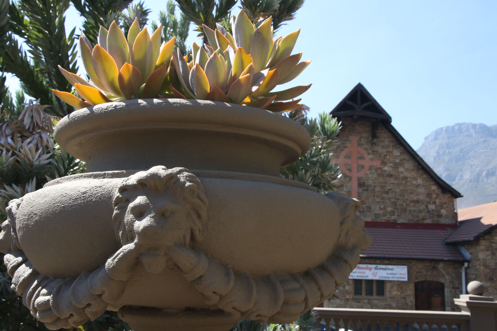 Canon EOS 7D Mark II sample photo. Garden, garden, pot, home photography