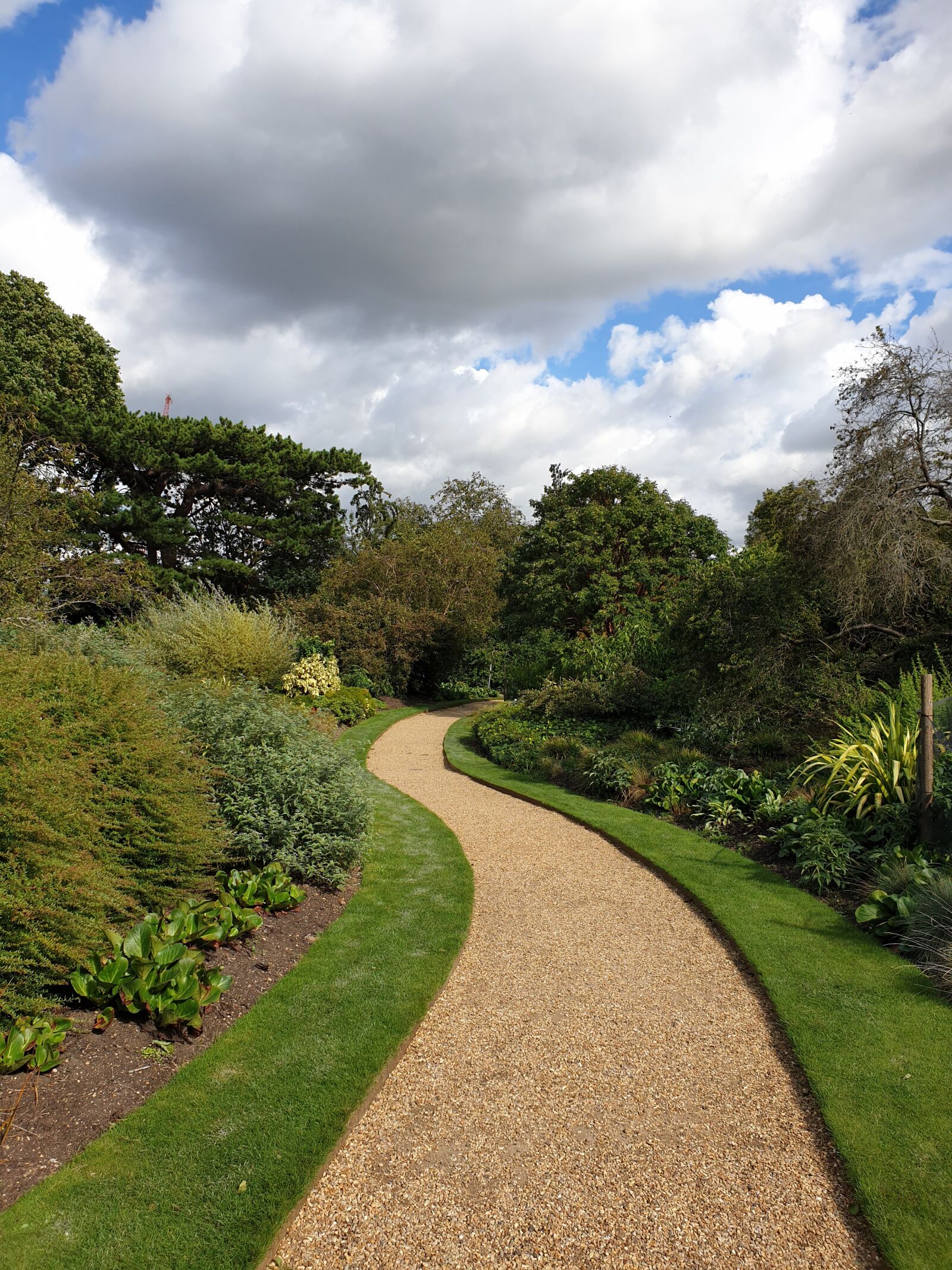 Samsung Galaxy Note9 sample photo. Cambridge, garden, plants photography