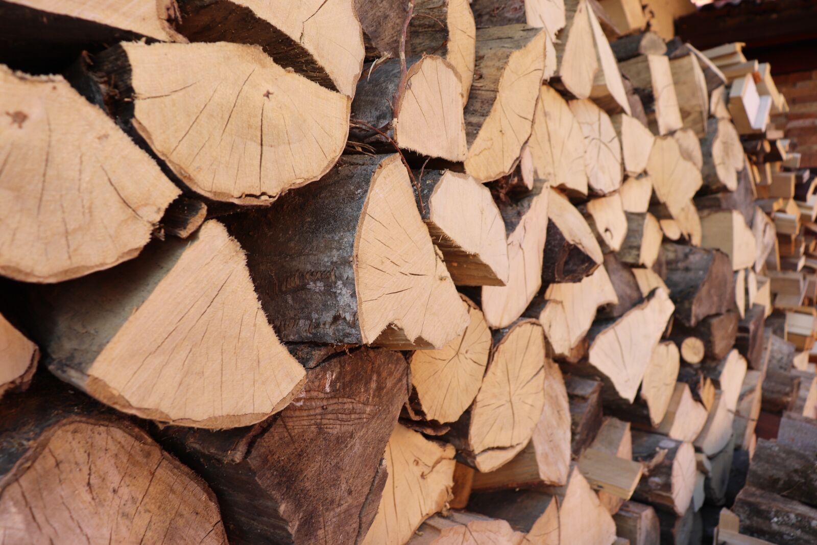 Canon EOS 800D (EOS Rebel T7i / EOS Kiss X9i) sample photo. Wood, fire, firewood photography