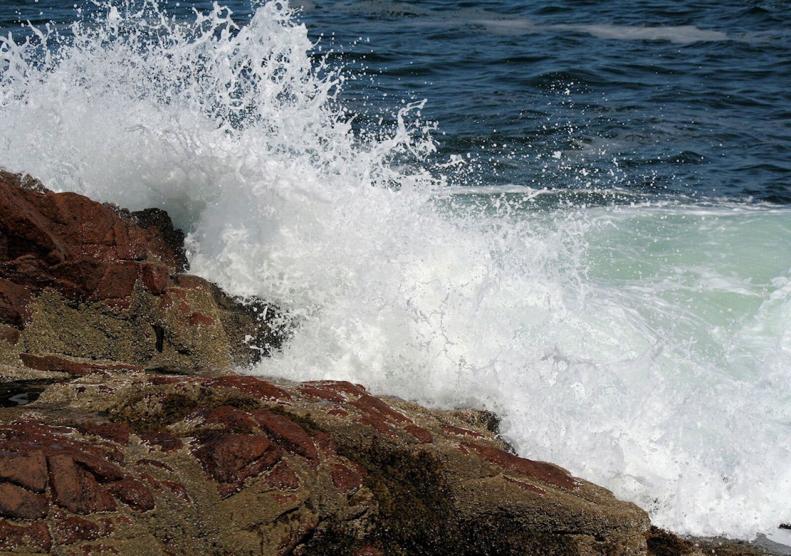 Canon EOS 1000D (EOS Digital Rebel XS / EOS Kiss F) sample photo. Landscape, nature, objects photography