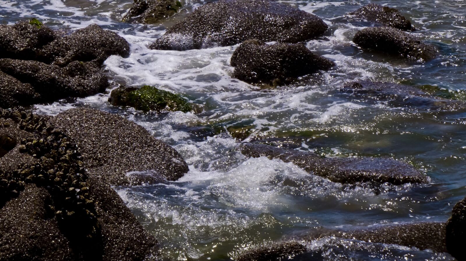 Panasonic Lumix DMC-FZ200 sample photo. Tide pool, ocean, pacific photography