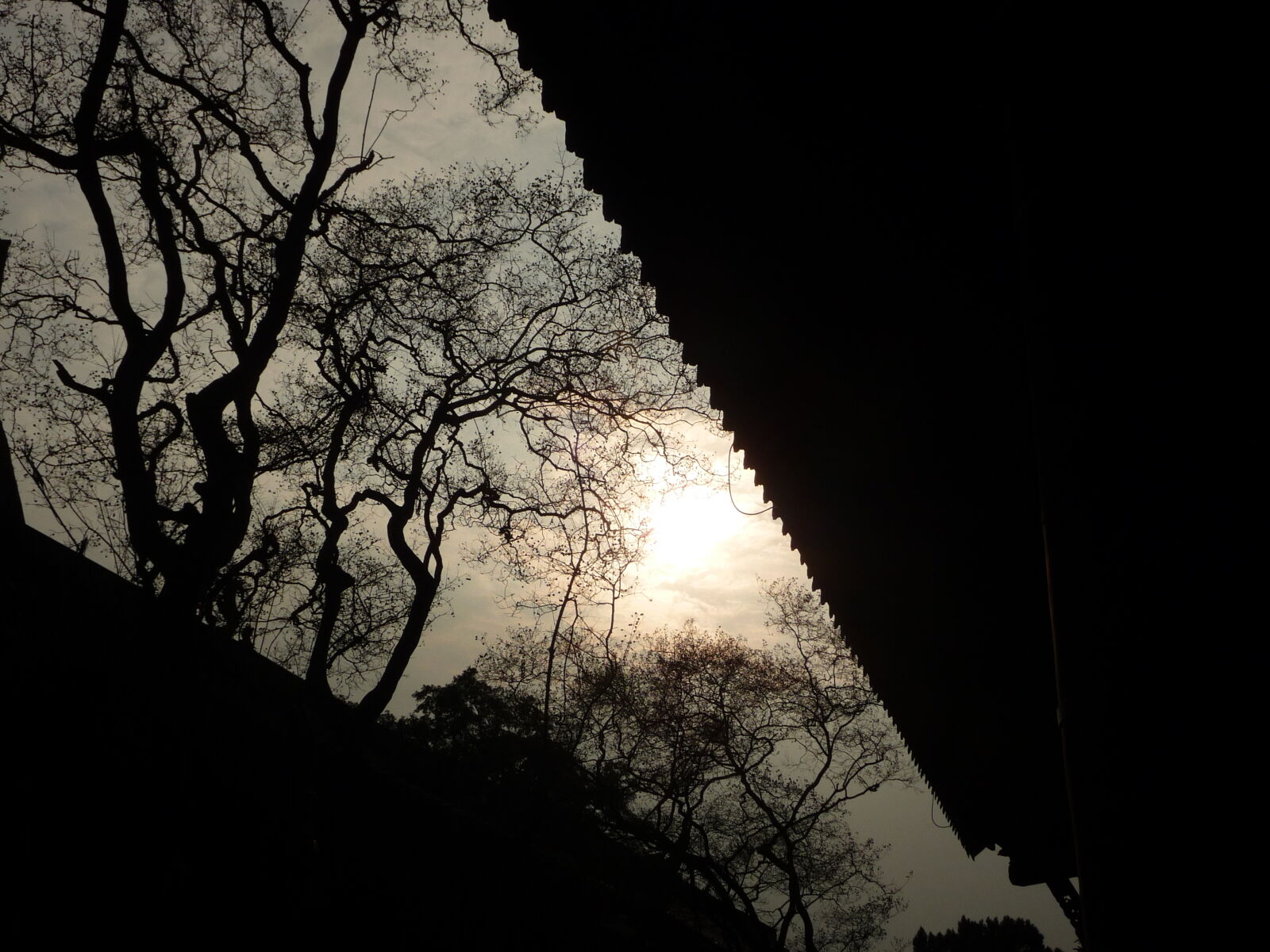 Panasonic Lumix DMC-TZ5 sample photo