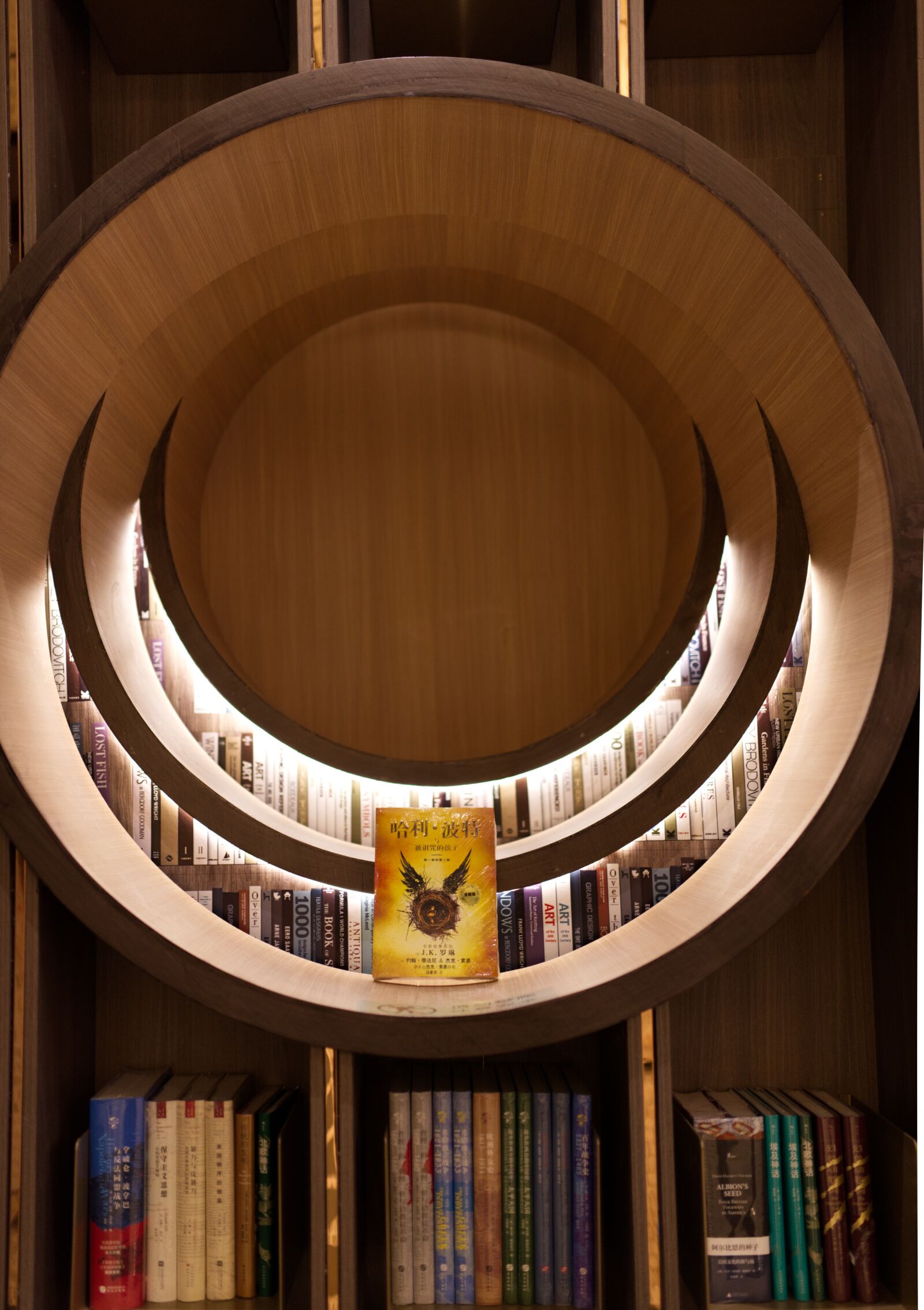 Nikon D750 sample photo. Book, harry potter, library photography